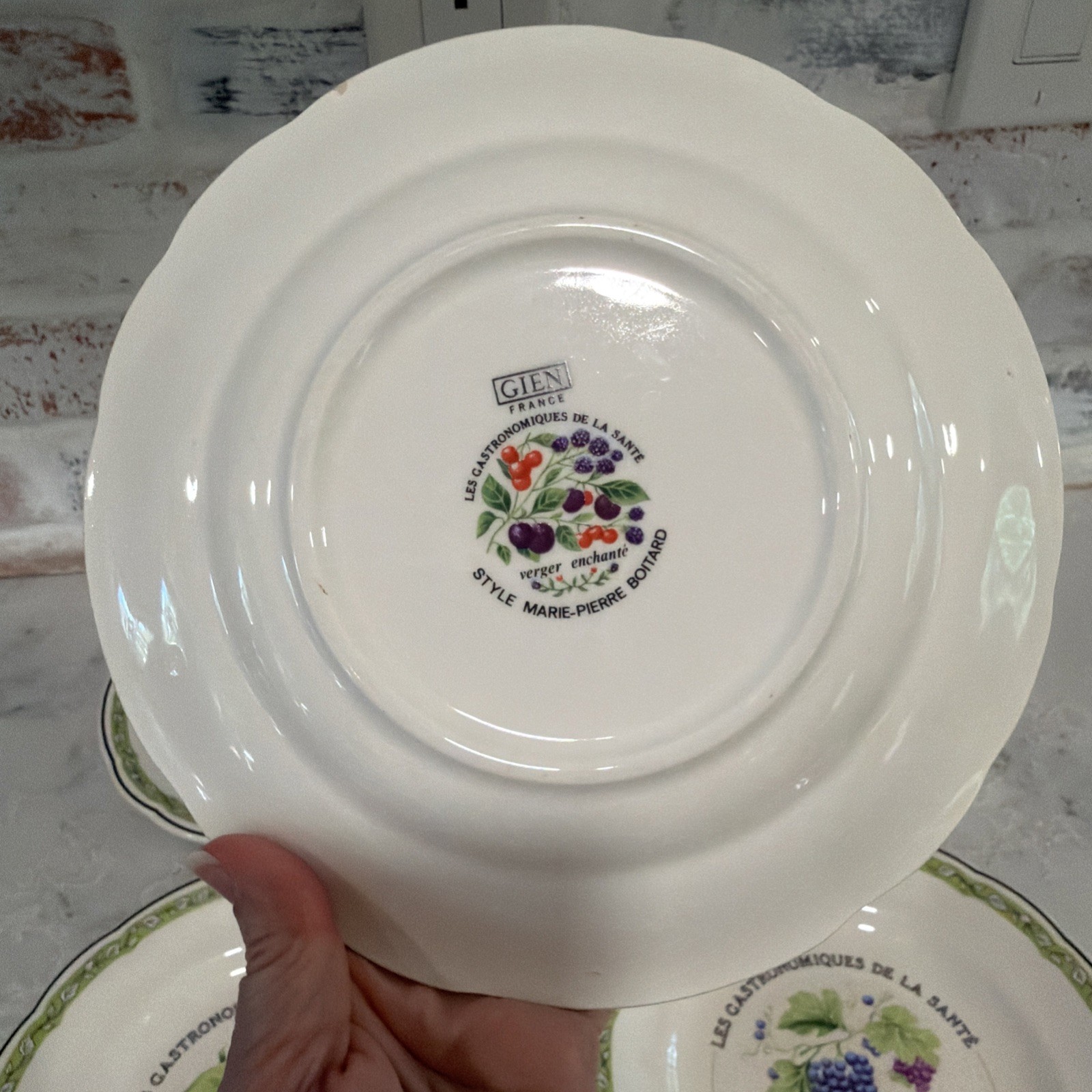 6 VTG Gien China France Les Gastronomiques de la Sante Salad Dessert Plate Set