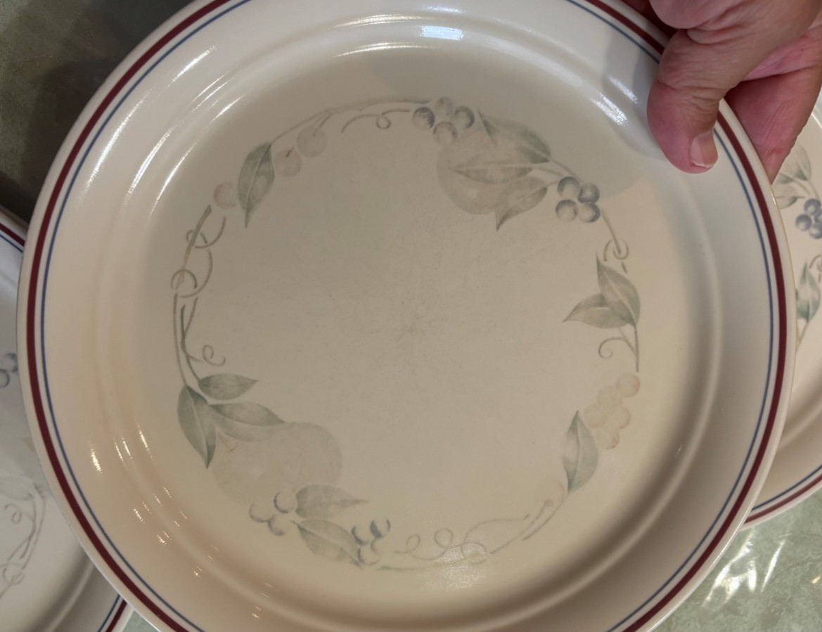 ABUNDANCE Set of 7 Dinner Plates 10.25″ Corelle Corning USA Sandstone Fruit
