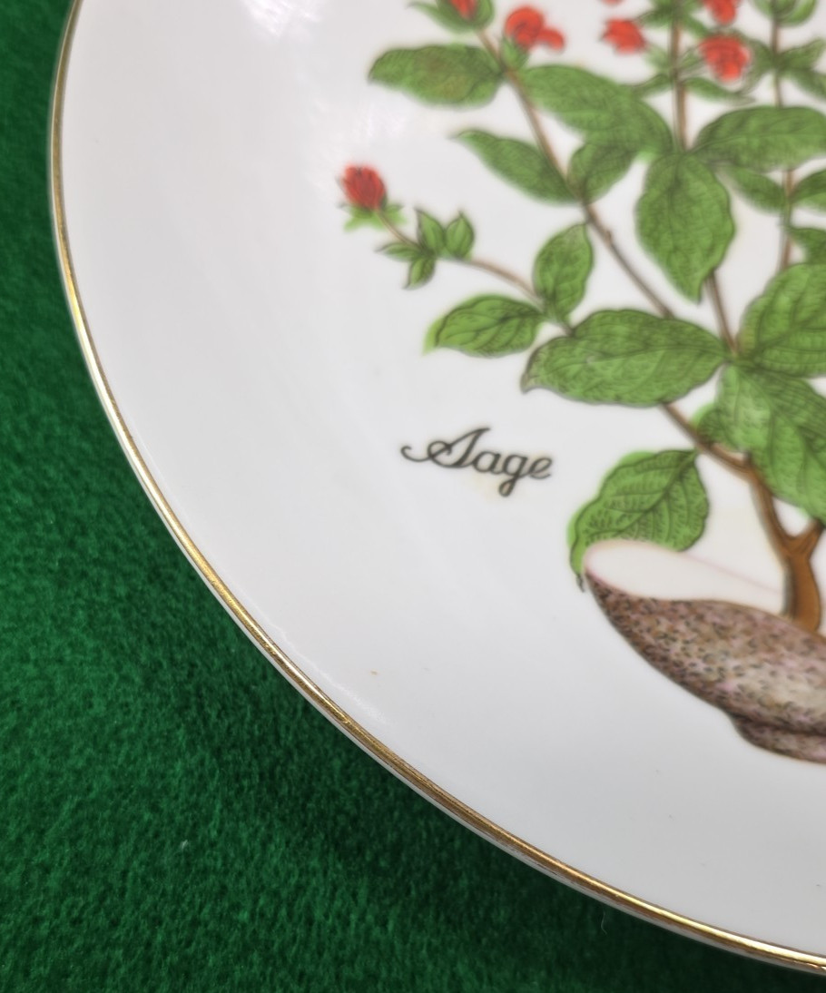 Vtg Herb Garden Wall Hanging Plates Set 4 Japan Parsley Mustard Sage Chives Deco
