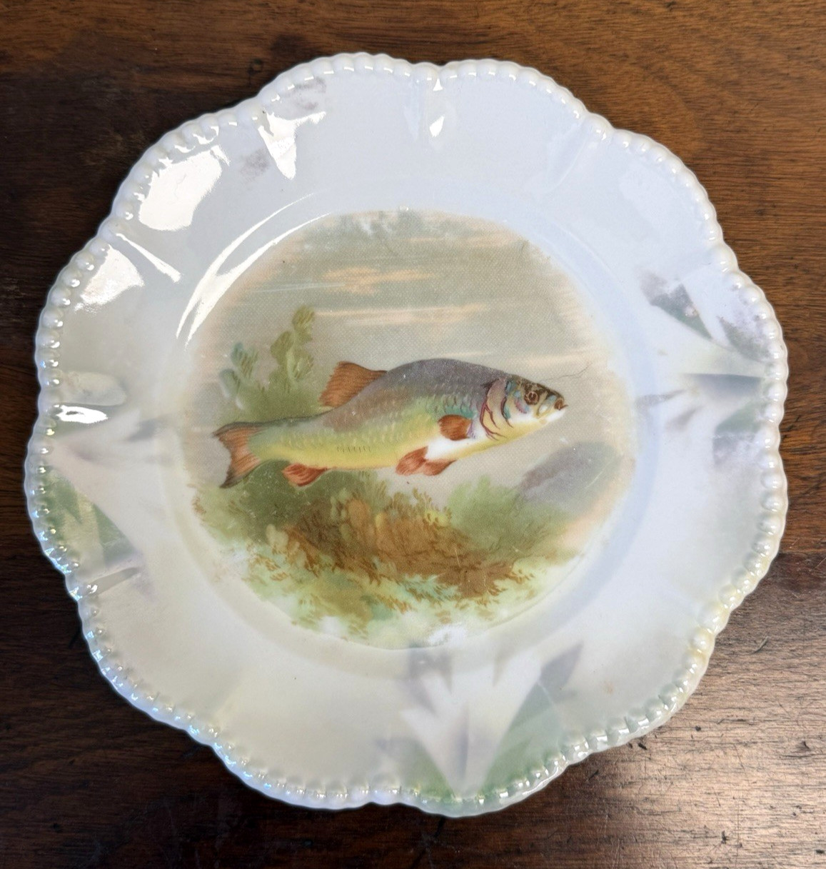 Pair Antique Silesien Germany Fish Porcelain Salad Plates 7 7/8″ Scenic Trout