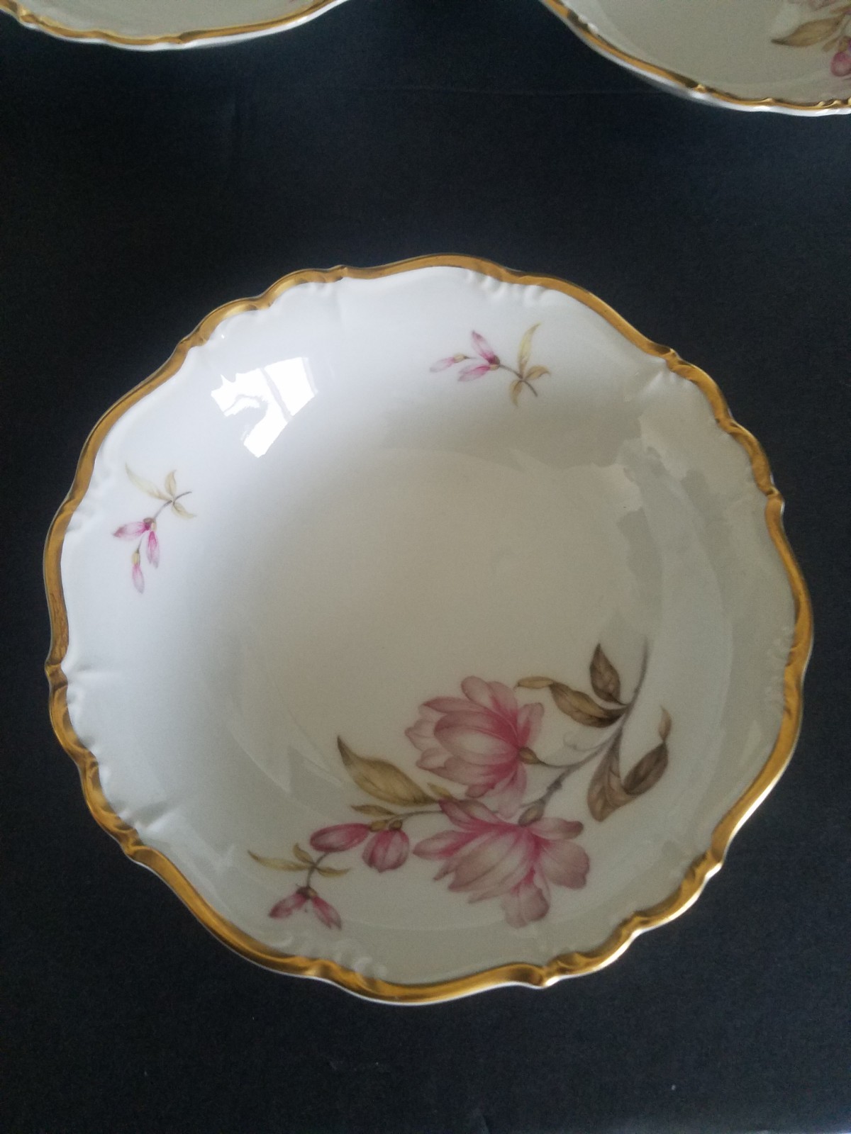 Vintage Edelstein Bavaria Maria Theresa 14 Pc Tea Service Magnolia China Set
