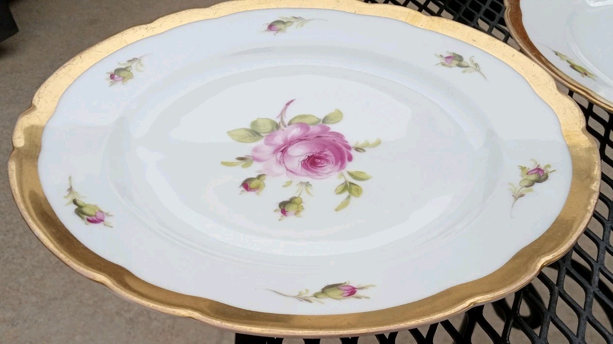 12 Antique Helena Wolfsohn DRESDEN ROSE Porcelain Dinner Plate OVINGTON BROS NY
