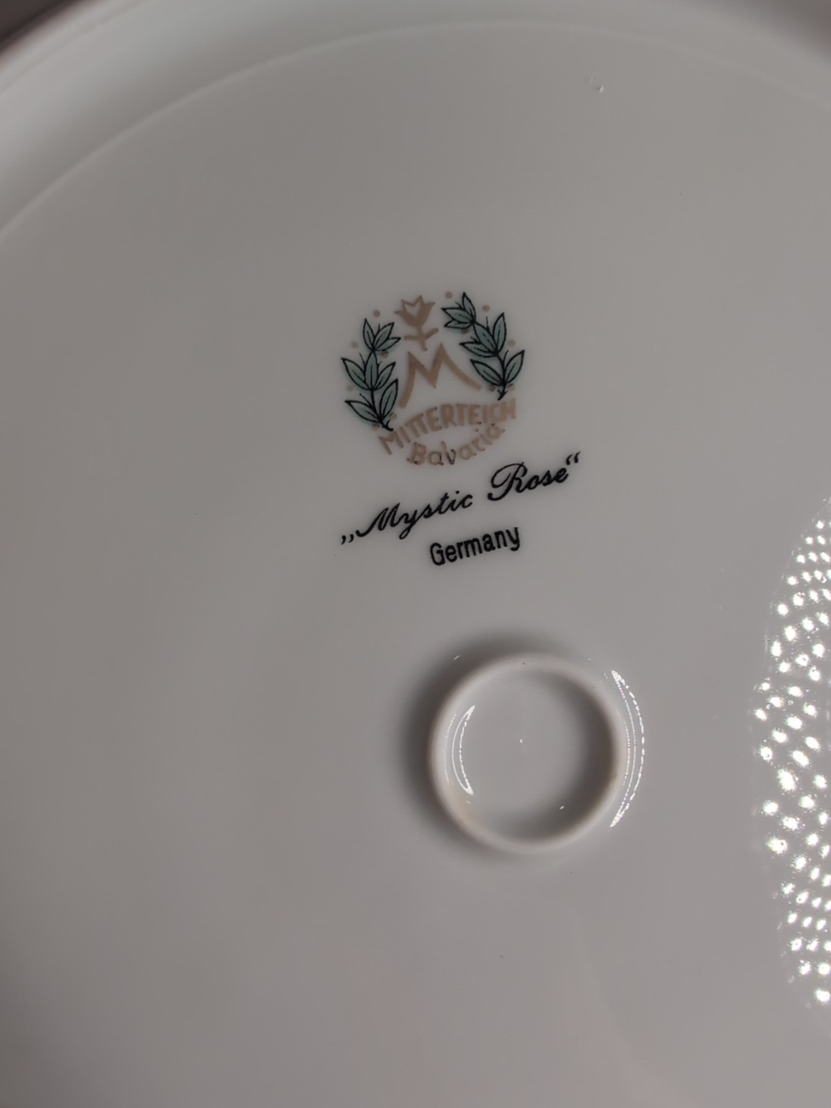 (6) Vtg Mitterteich China Germany Porcelain Mystic Rose Dinner Plates 10.5″