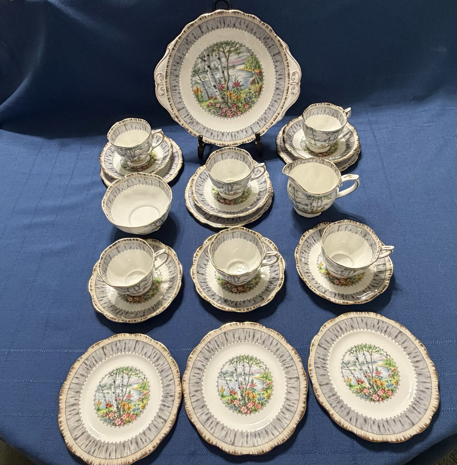 Royal Albert Silver Birch Cake Set for 6 Handled Plate C&S Cups & Saucers Plates