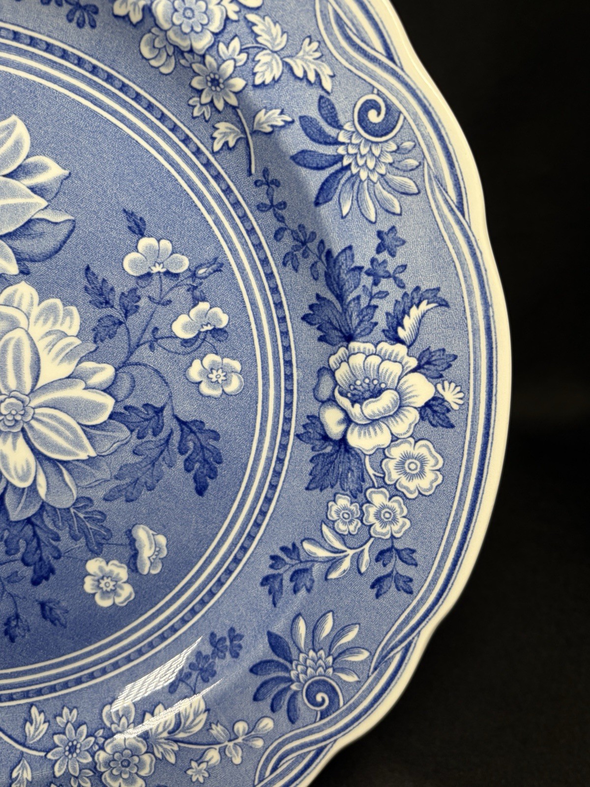 The Spode Blue Room Collection “Botanical” Plate Made In England 10.5″