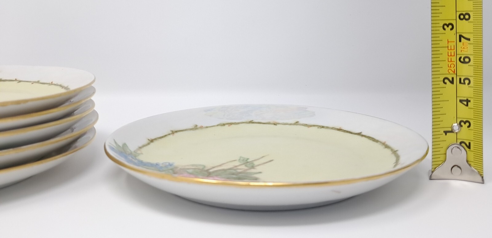 Hutschenreuther 6″ Porcelain Plates set of 6 handpainted florals lustre rim Selb