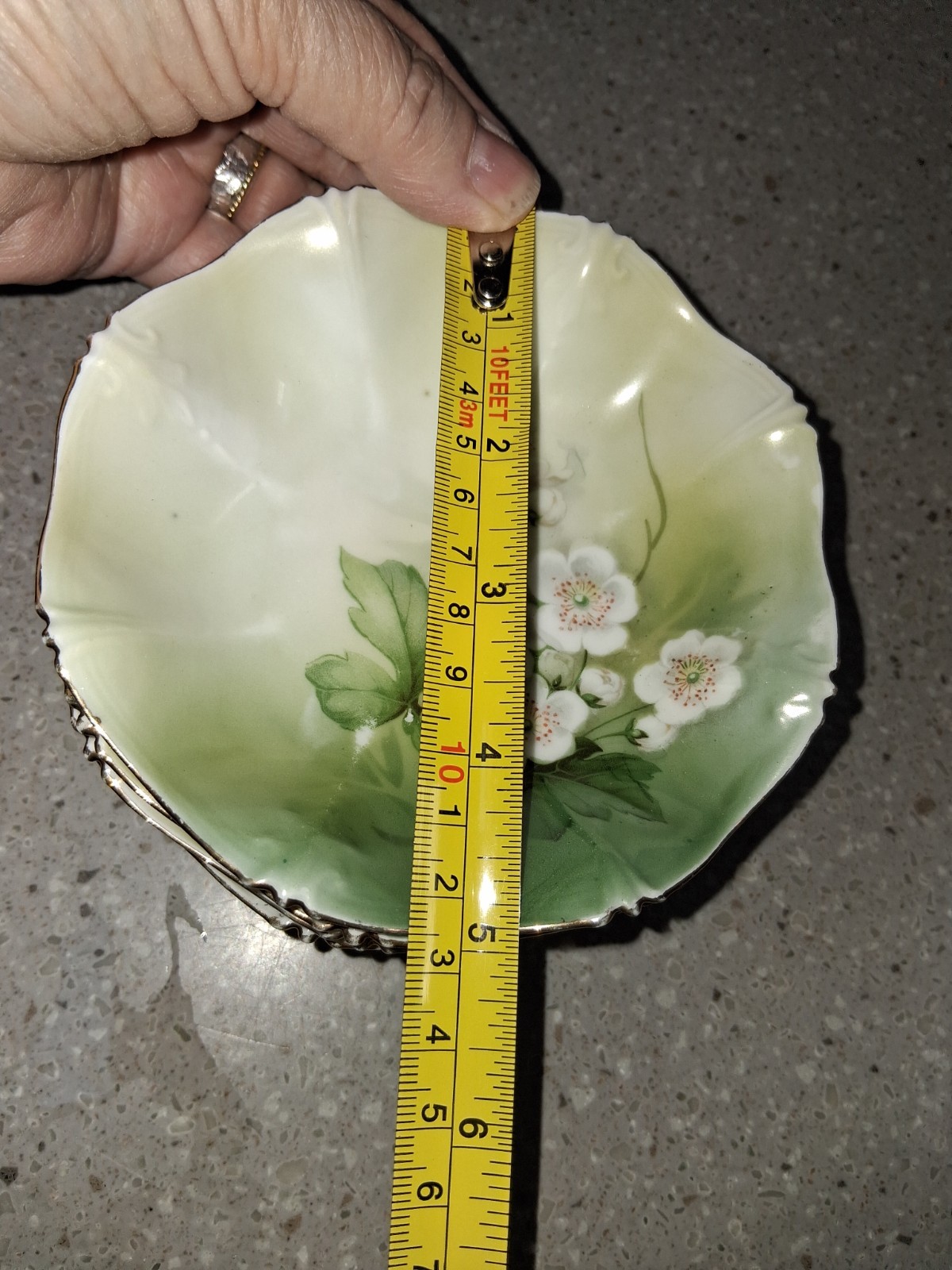 RS PRUSSIA GERMANY ANTIQUE BERRY SET (DOGWOOD PATTERN) Gorgeous patina