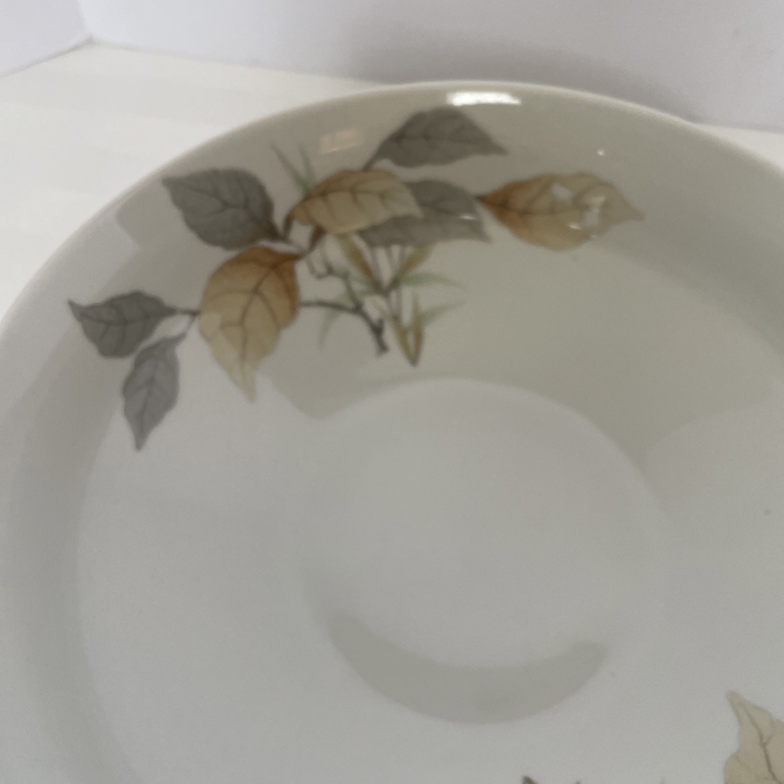 Villeroy & Boch/Gallo Design Erlengrund Serving Bowls, Set Of Two
