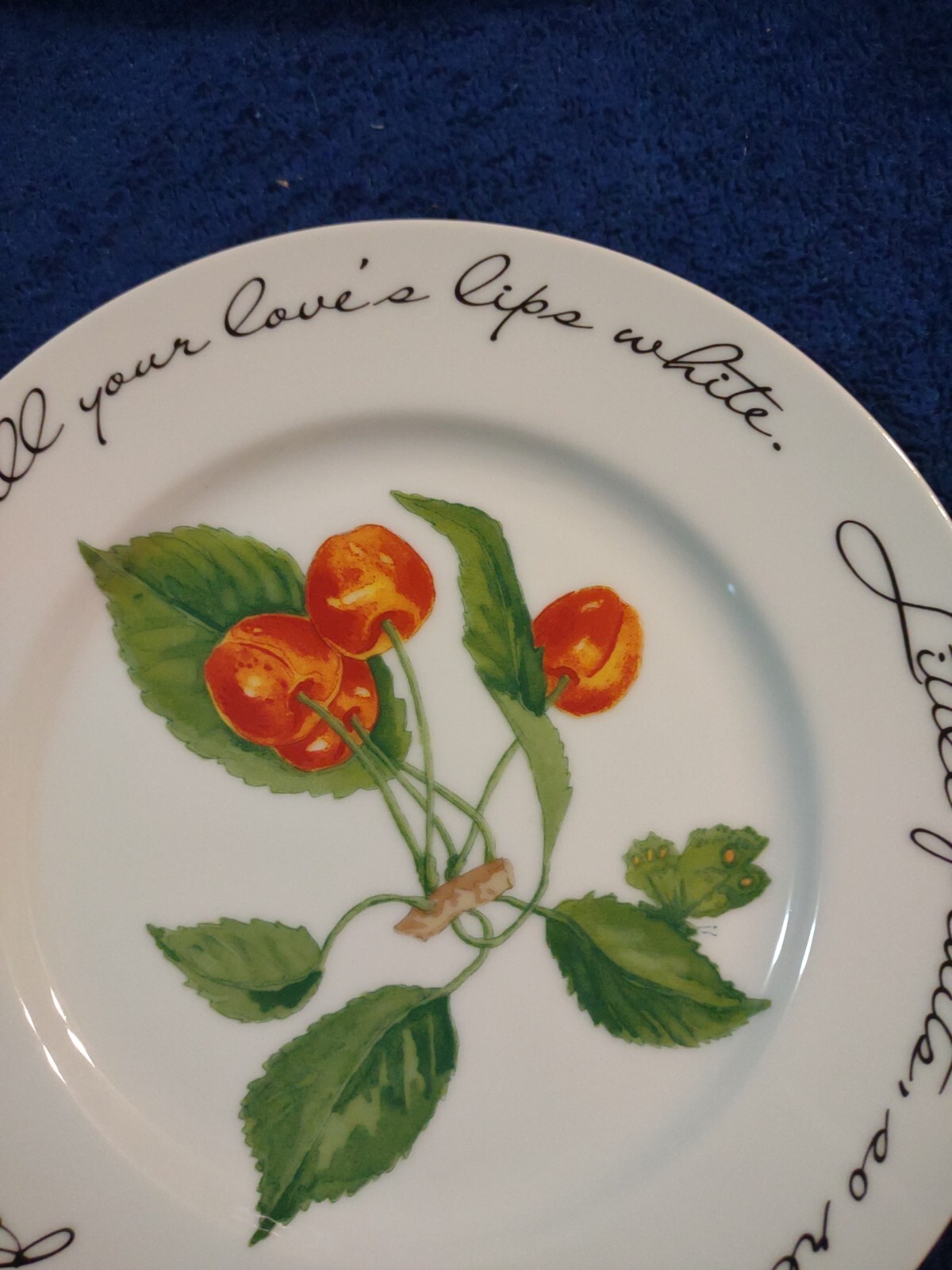 Williams-Sonoma Orchard Suite Cherries Cherry Japan 7 7/8″ Accent Salad Plate