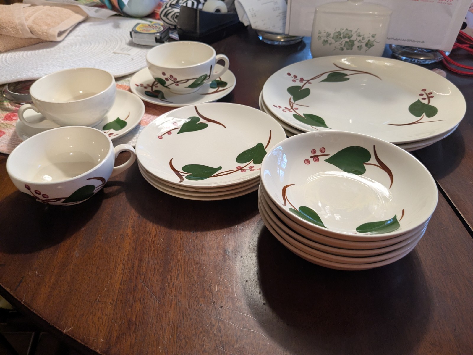 Blue Ridge Stanhome Ivy 17 Piece Set of Dishes.