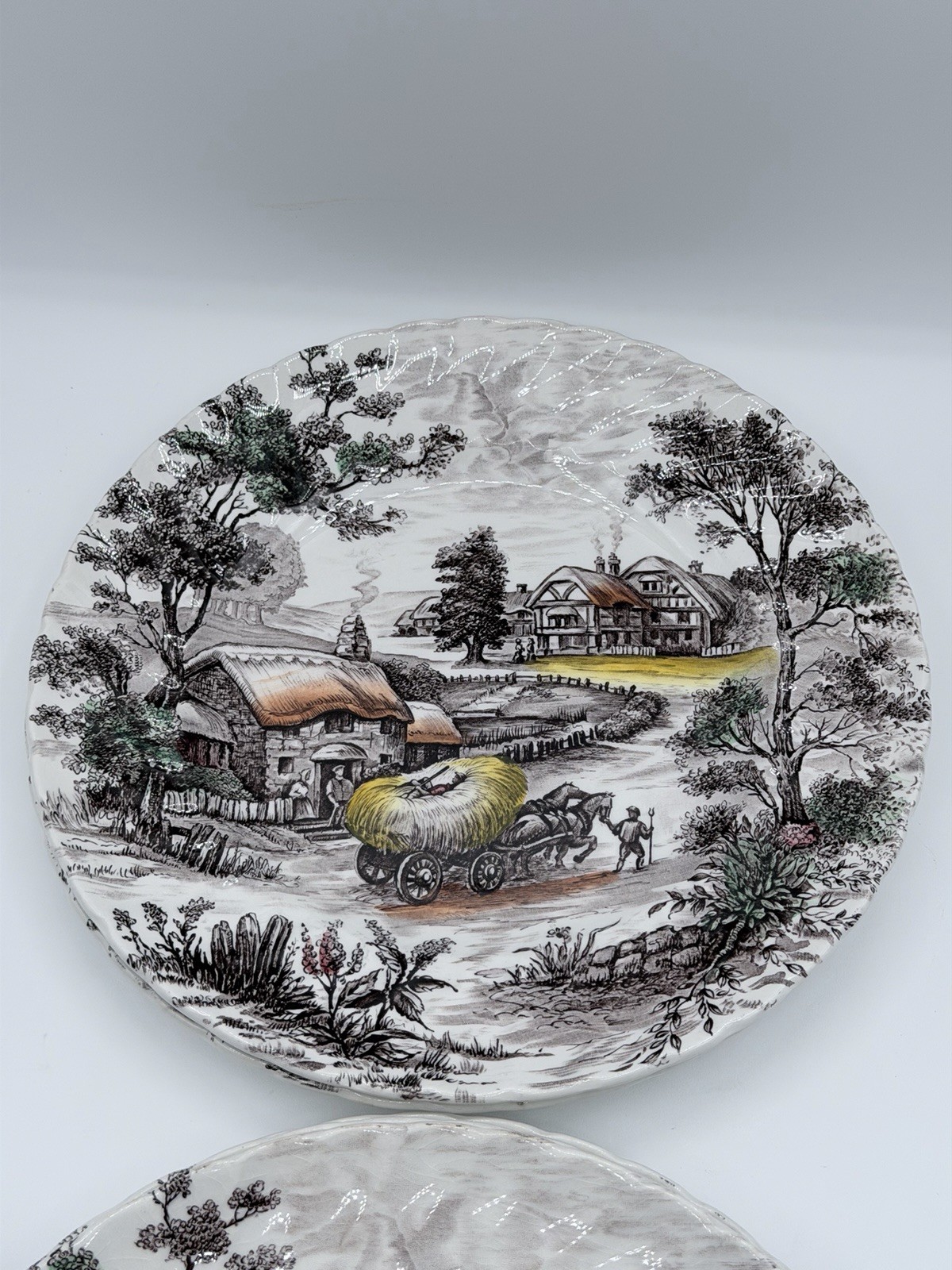 Staffordshire Ironstone Yorkshire Multicolor Dinner Plate England Set of 6