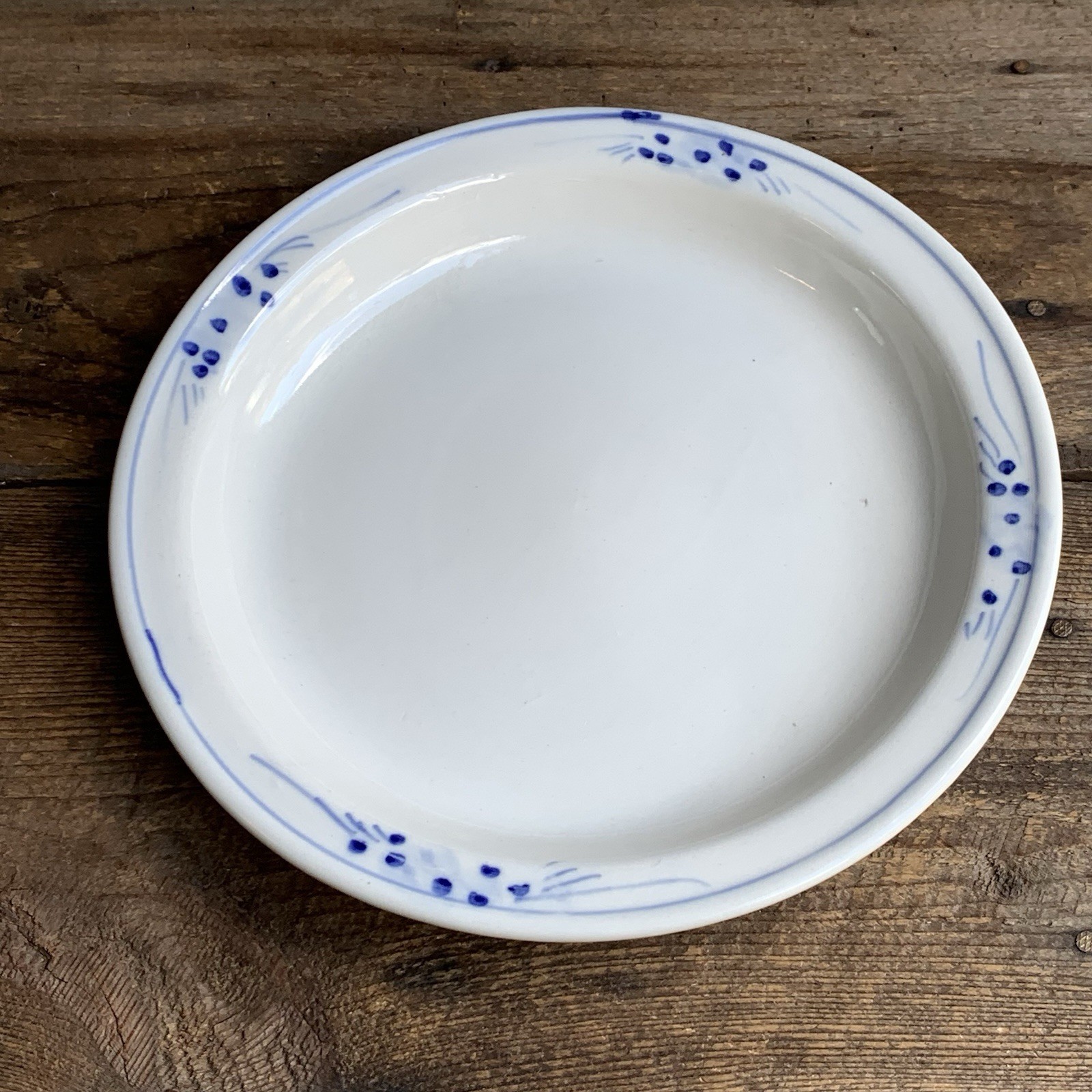 Blue White Serving Dish 10.5” Round Ceramic Earthenware