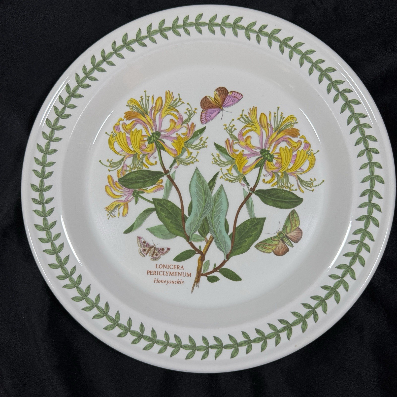 Vintage Portmeirion Botanic Garden Honeysuckle 10.5″ Dinner Plate England