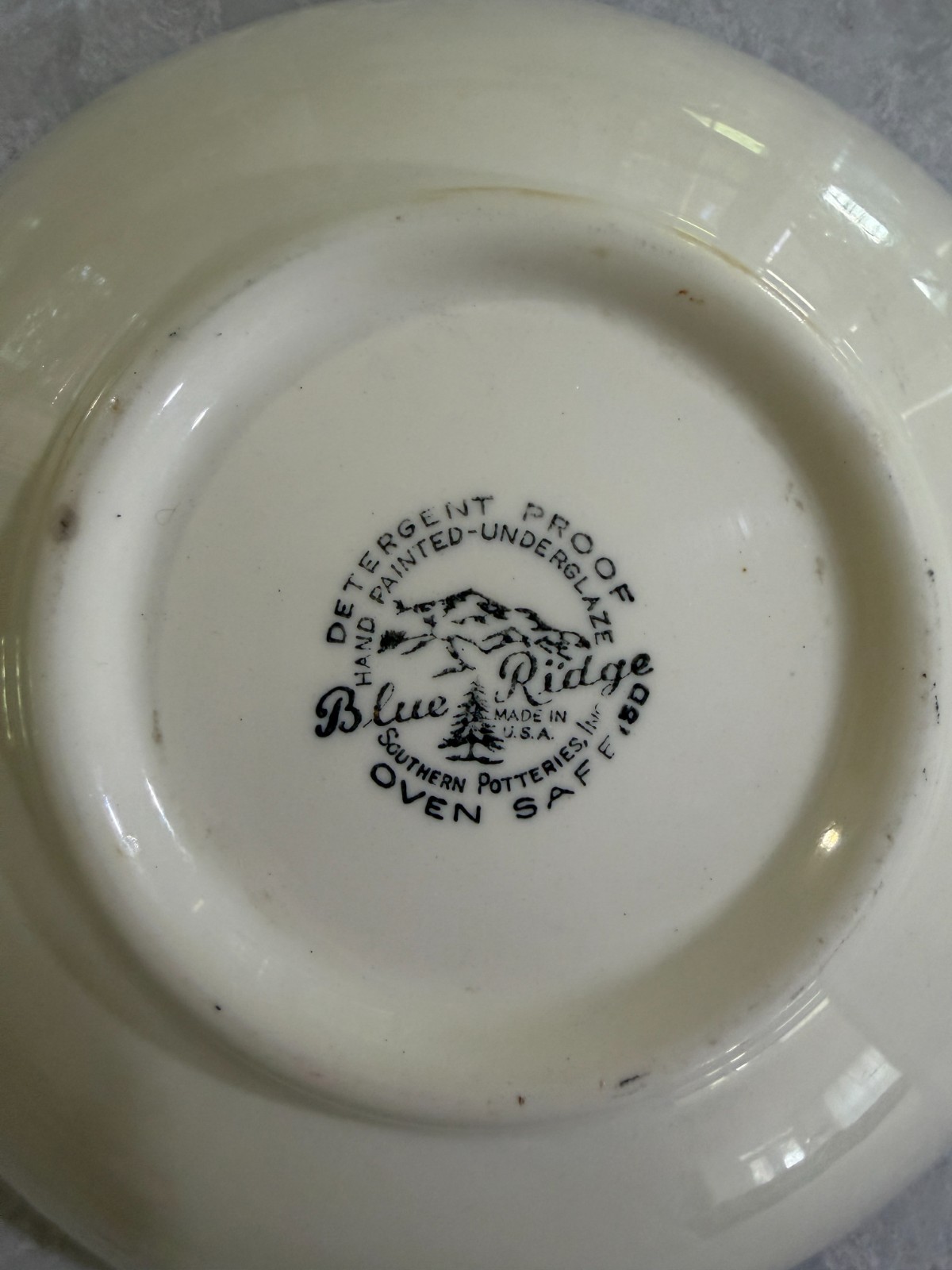 **Vintage** Blue Ridge Southern Pottery Hand Painted Made USA 9″