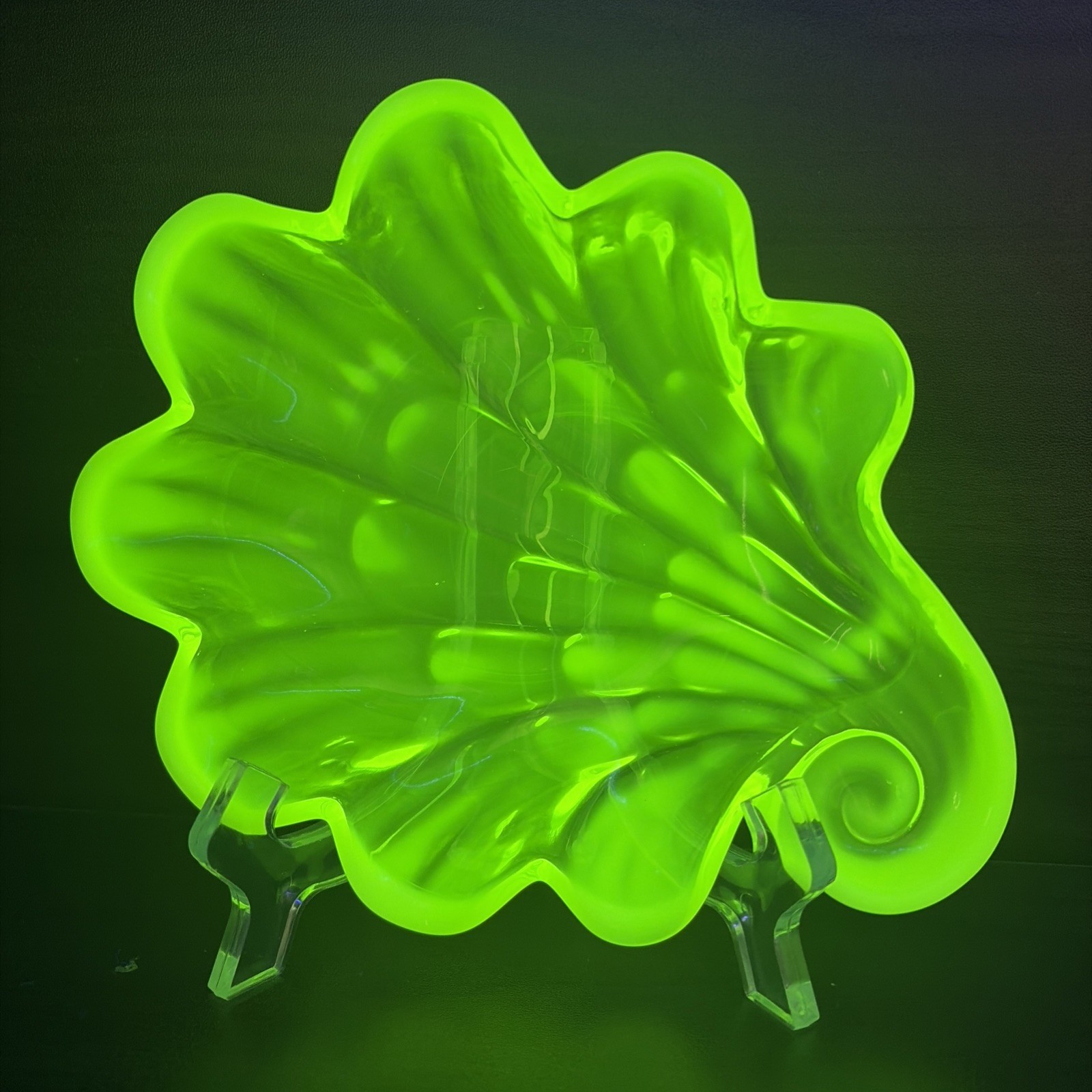 Duncan Miller Clam Sea Shell Trinket Dish 6.5″ Vaseline Uranium Opalescent Glow