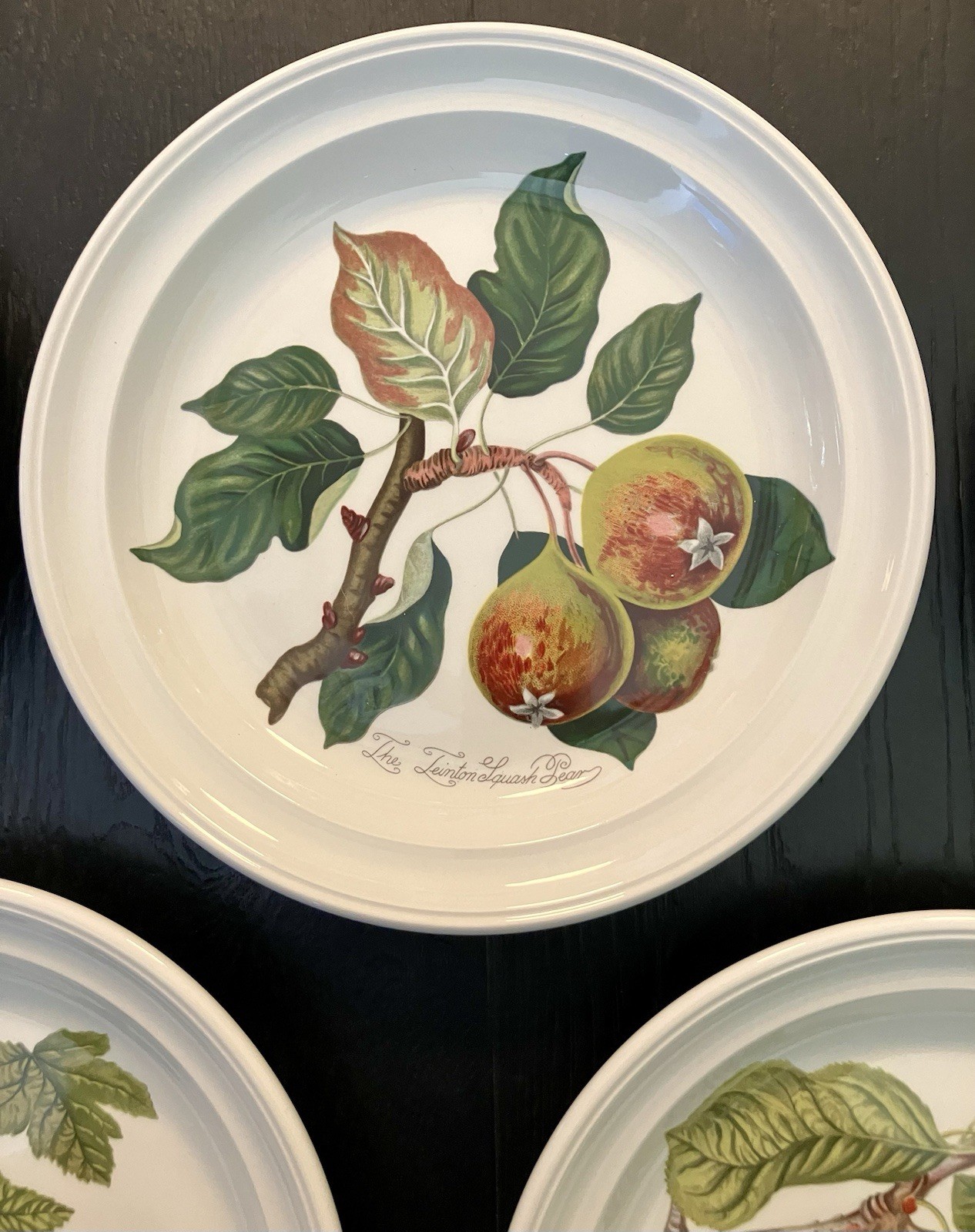 5 Pomona Portmeirion 8.5” Plates 1982 Susan Williams-Ellis Made in England