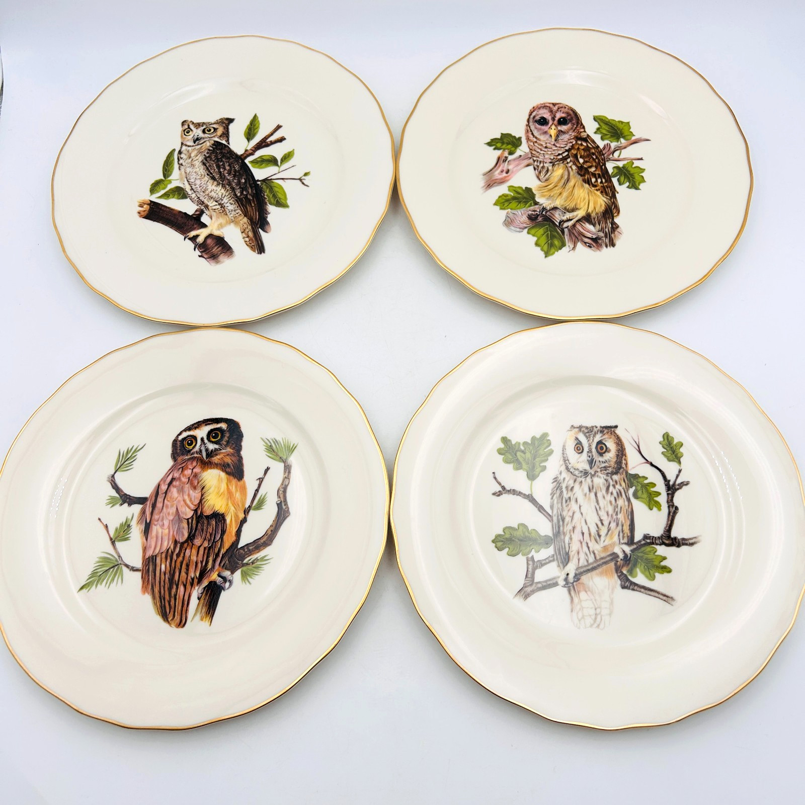 Vintage Pickard 4 Decorative Owls Plates Gold Trim Hangers MCM Birds Wall Art