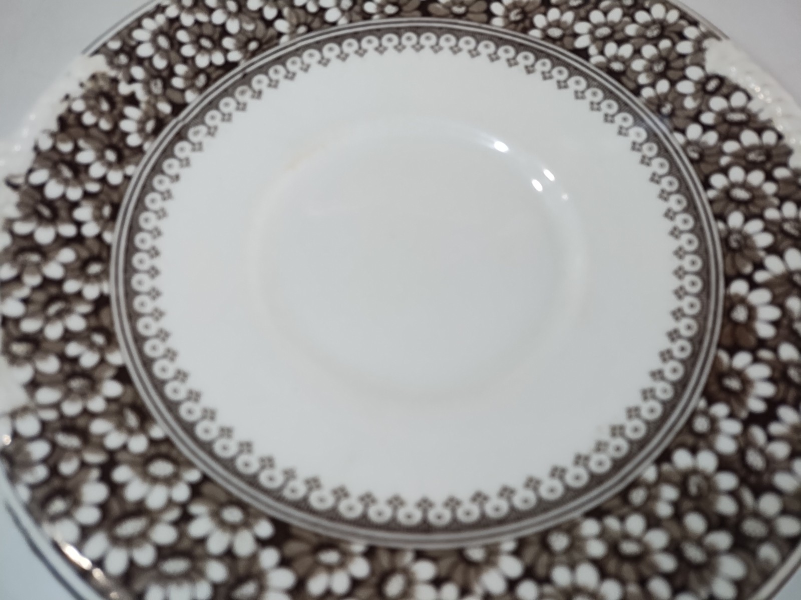 Antique WAA Adderley Daisy Brown Platter Plate with Handles Victorian Aesthetic