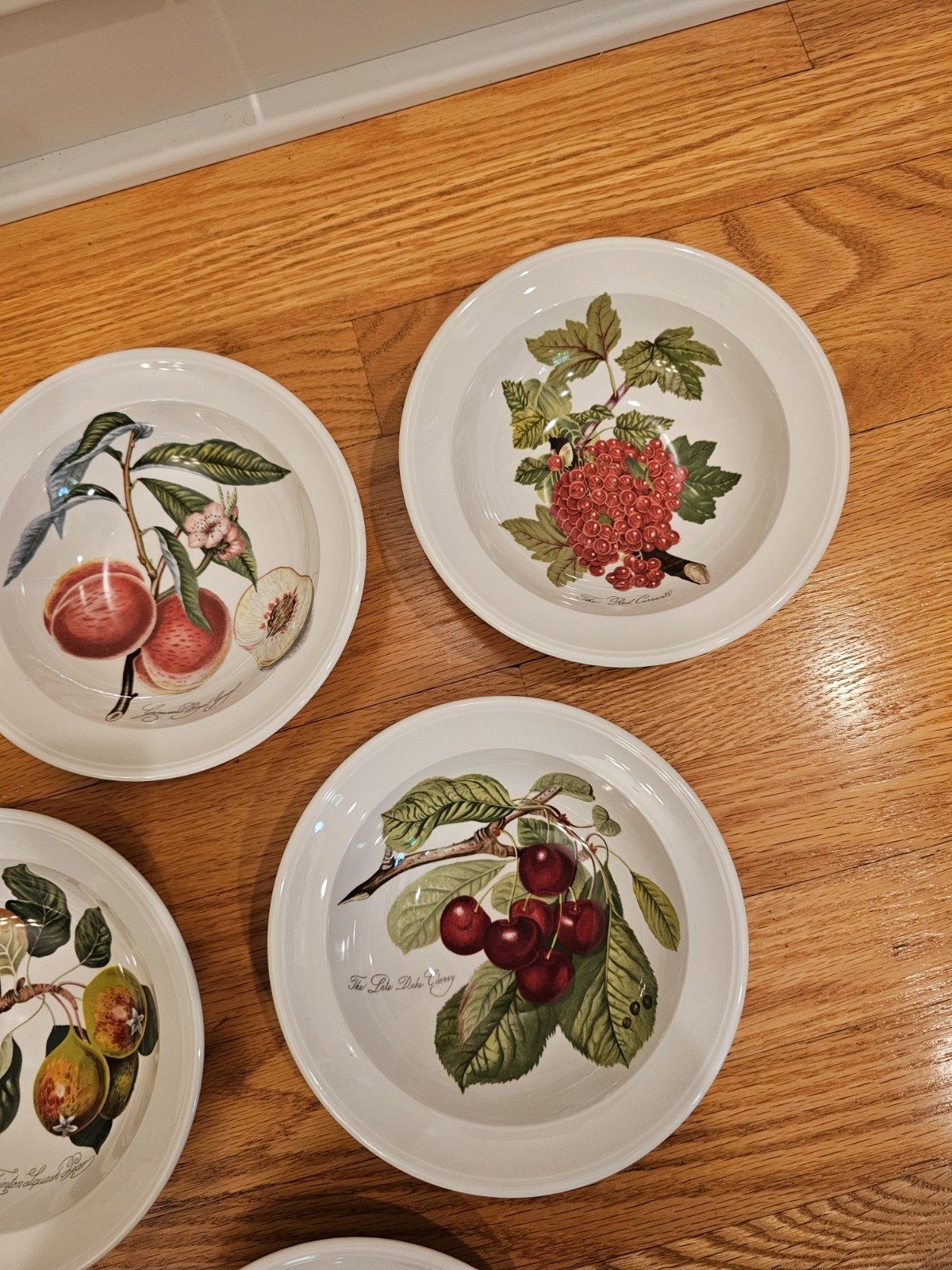 Portmeirion Pomona No Border Fruit 6.75″ Cereal Fruit Bowls Set Of 6 EUC Retired