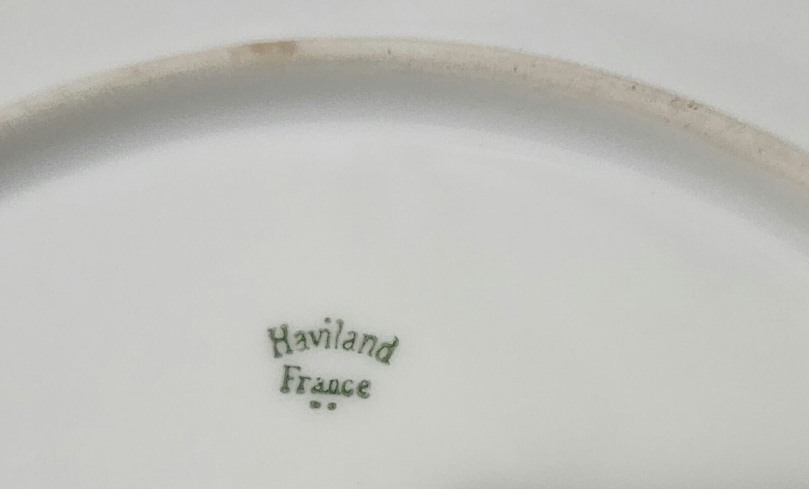 Antique Haviland Limoges France Plate Wild Roses Hand Painted Signed Carmichael
