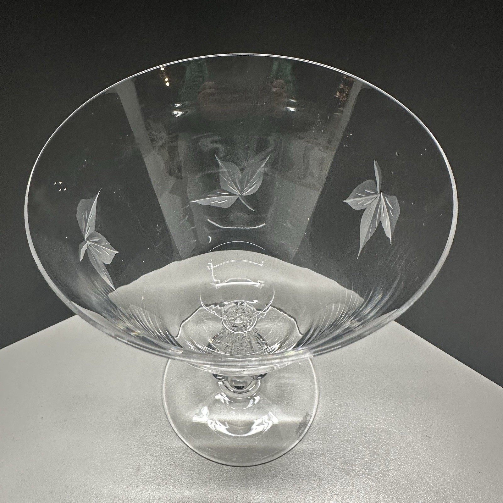 Bryce Autumn Water Goblets 5 7/8″ Set Of 4 Blown Glass Made In USA Etched