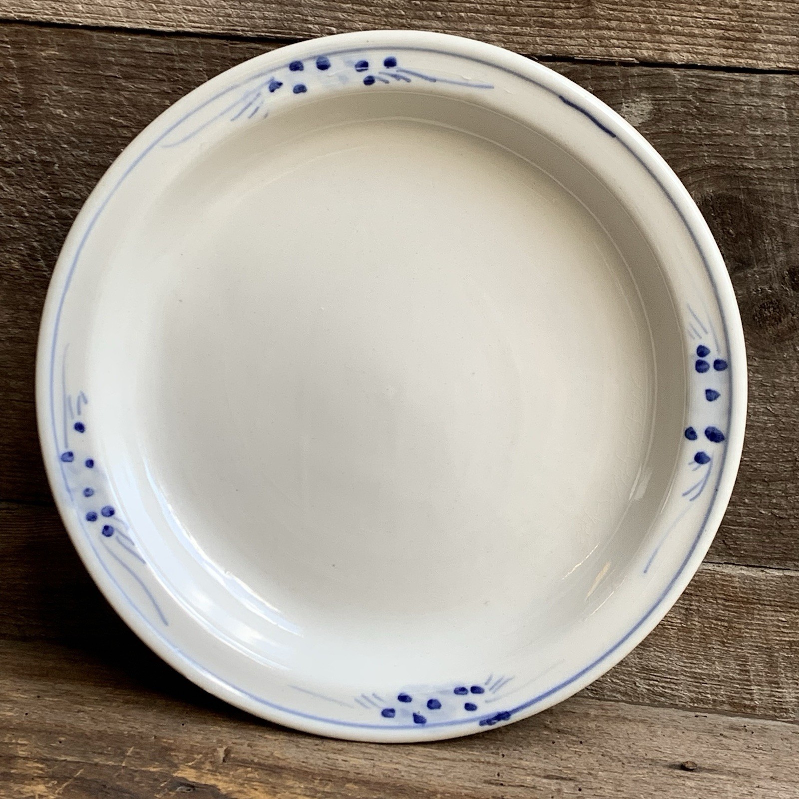 Blue White Serving Dish 10.5” Round Ceramic Earthenware