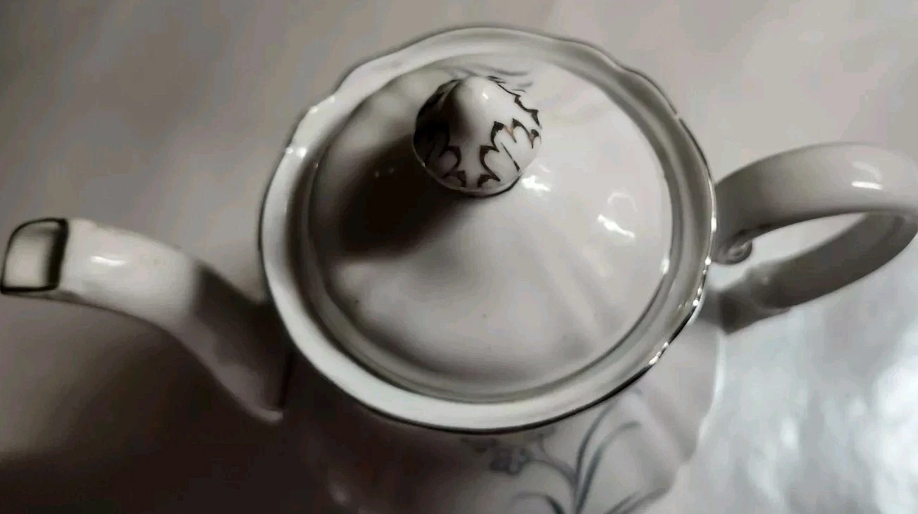 Hutschenreuther German ArzbergBavaria Tea Coffee Pot Porcelain White Gray Floral