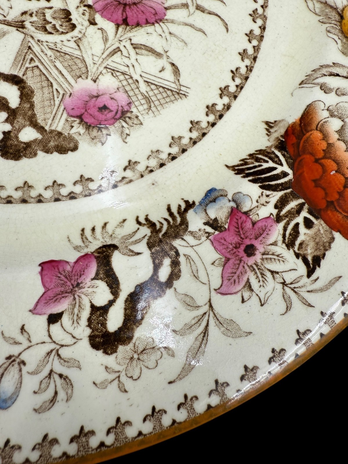 Wedgwood Bullfinch Brown Multicolor (Brown Trim) Dinner Plate 10 3/8″ Lot of 5