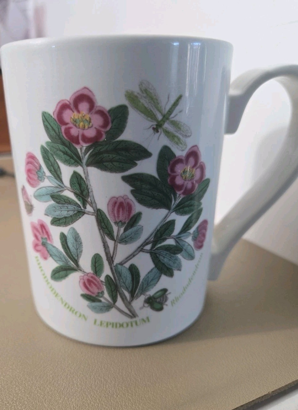VTG Portmeirion Botanic Garden Drum Mugs (2) Rhododendron & Veronica Speedwell