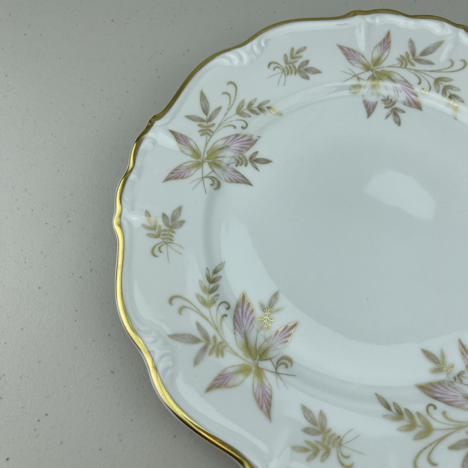 Edelstein Bavaria Maria-Theresia OAKLAND 19705 30 Dinner Plate 10″