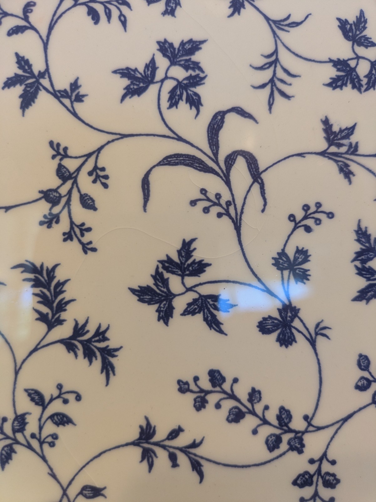 (4) Windsor & Browne Salad Plates 7-3/4″ Quadrifoglio Made in Italy Floral READ