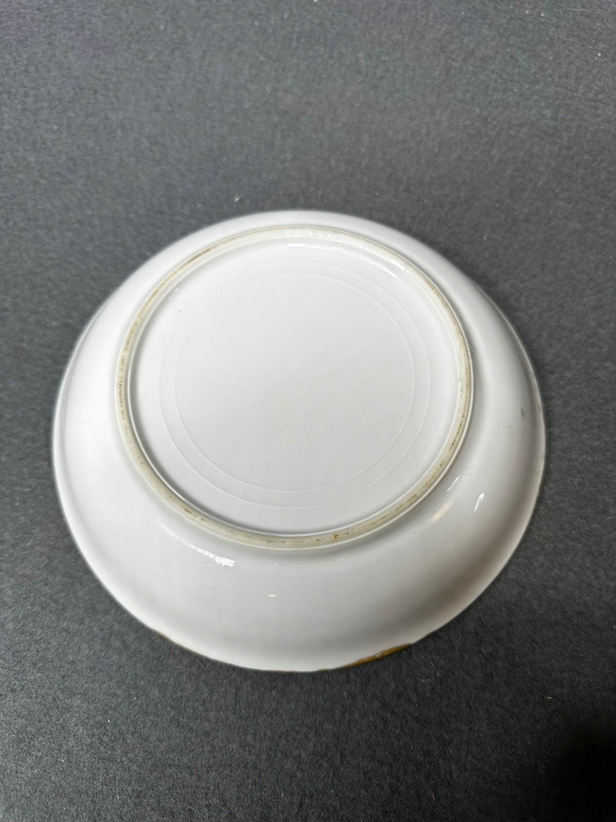 Vintage Set of (11) Hand Painted Thomas S Bavaria 7.5″ Bread Plates