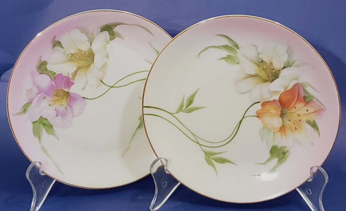 Two Antique Vintage Bavarian Plates Z.S. & Co Hand Painted Porcelain 1880- 1918