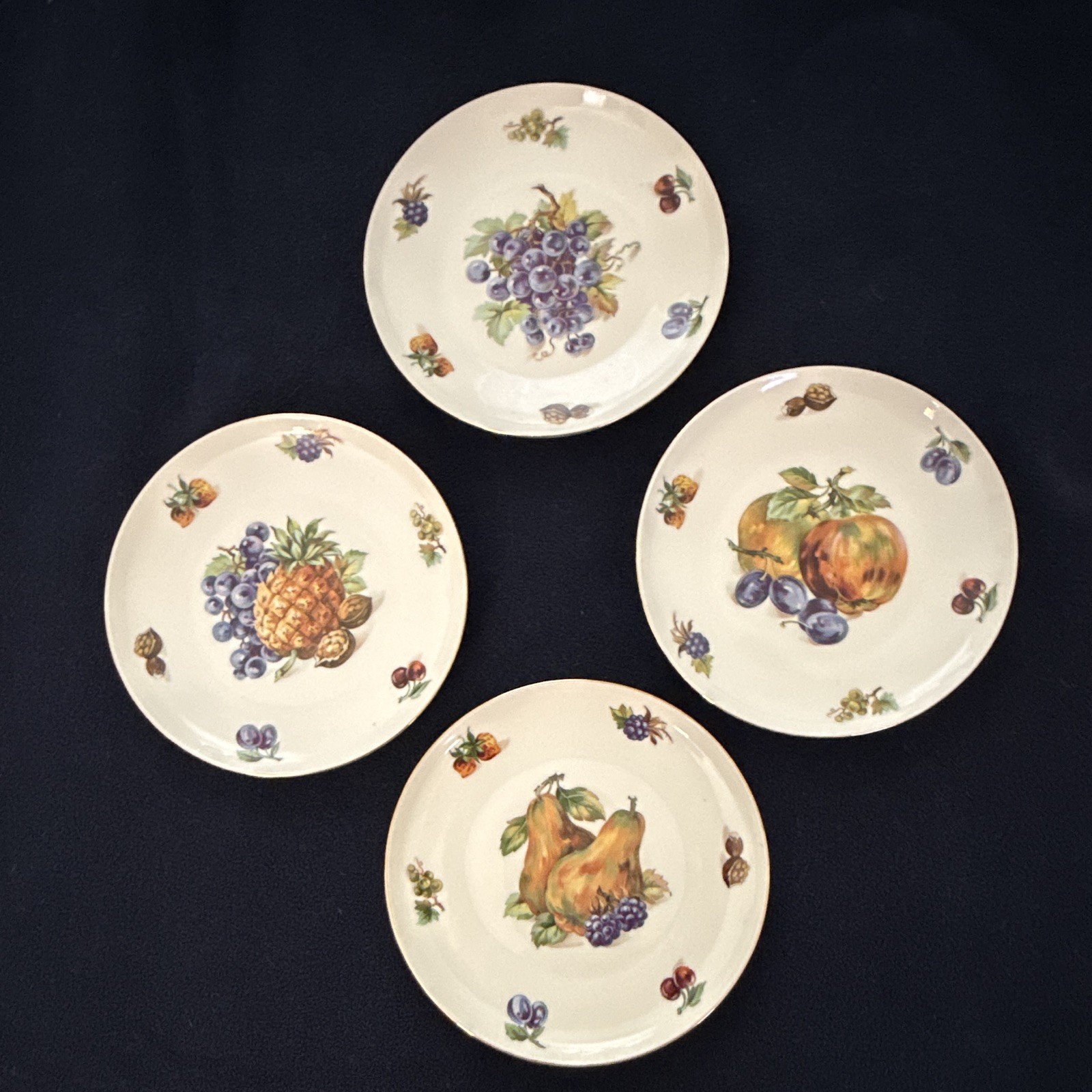 Tuscport Fine China Fruit Pattern Dinner Plates Set of 4, Round, Czechoslovakia