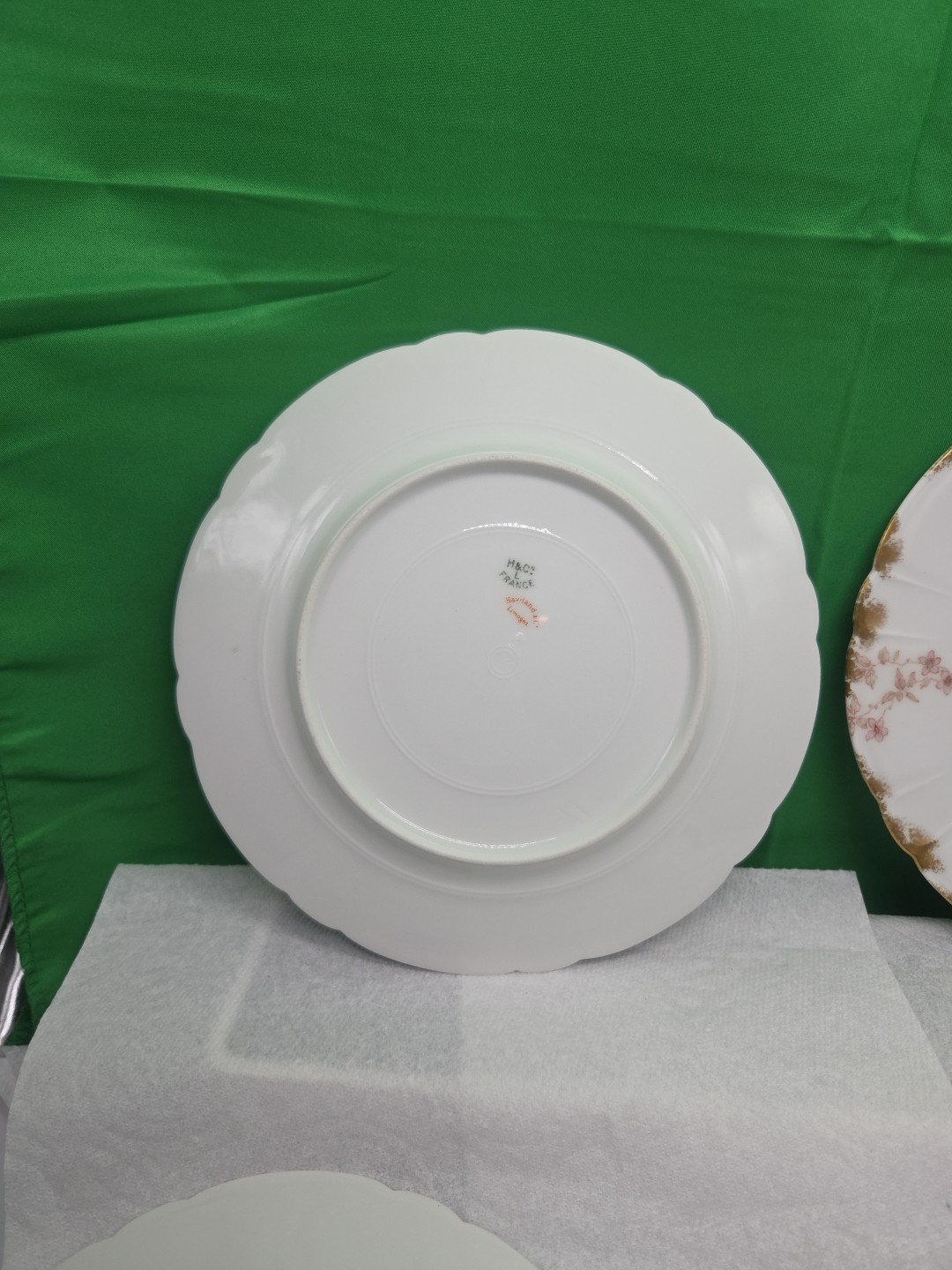 Haviland & Co. H & C LIMOGES France Four Dinner Plates 8 1/2″ Flowers Gold Trim