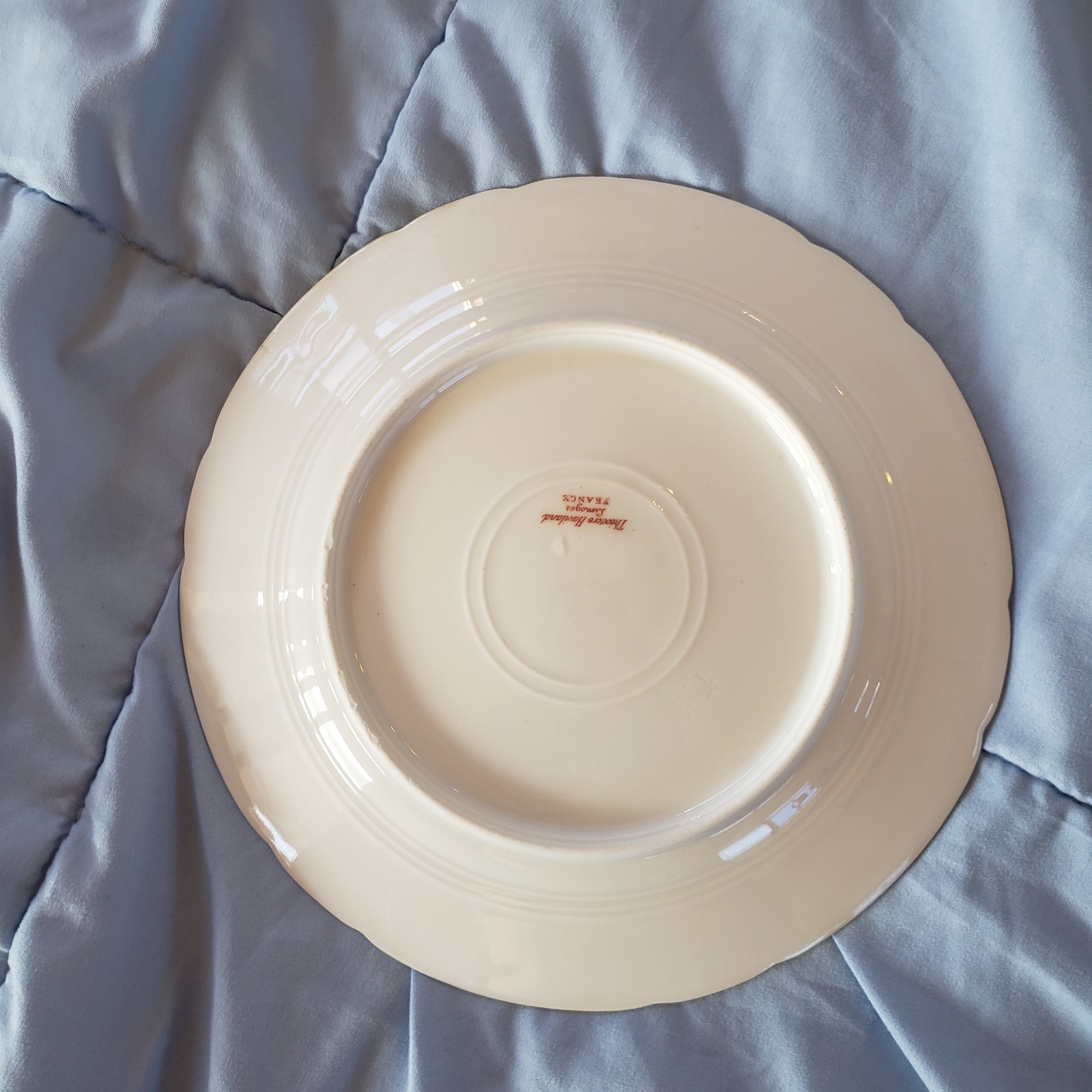 Theodore Haviland Limoges France Set of 12 Antique Plates French Porcelain