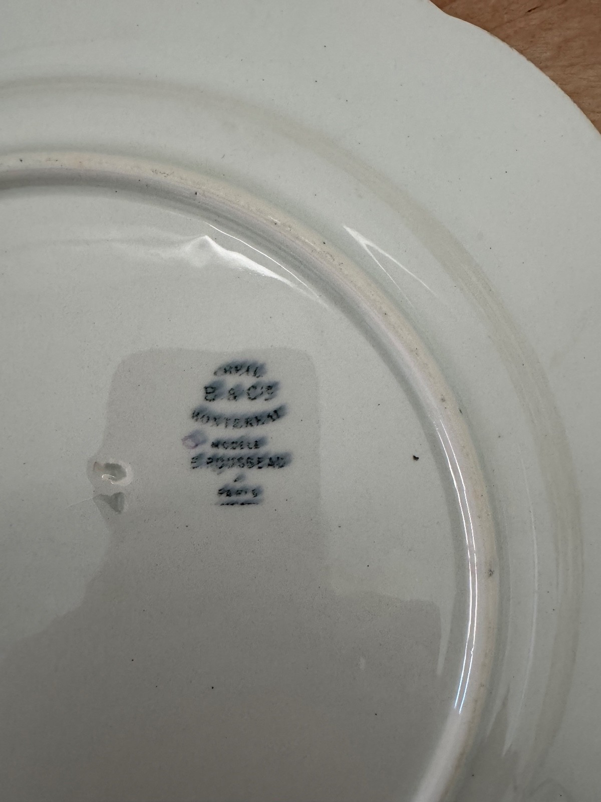 Service Rousseau plate by Bracquemond, B&Cie backmark c. 1875