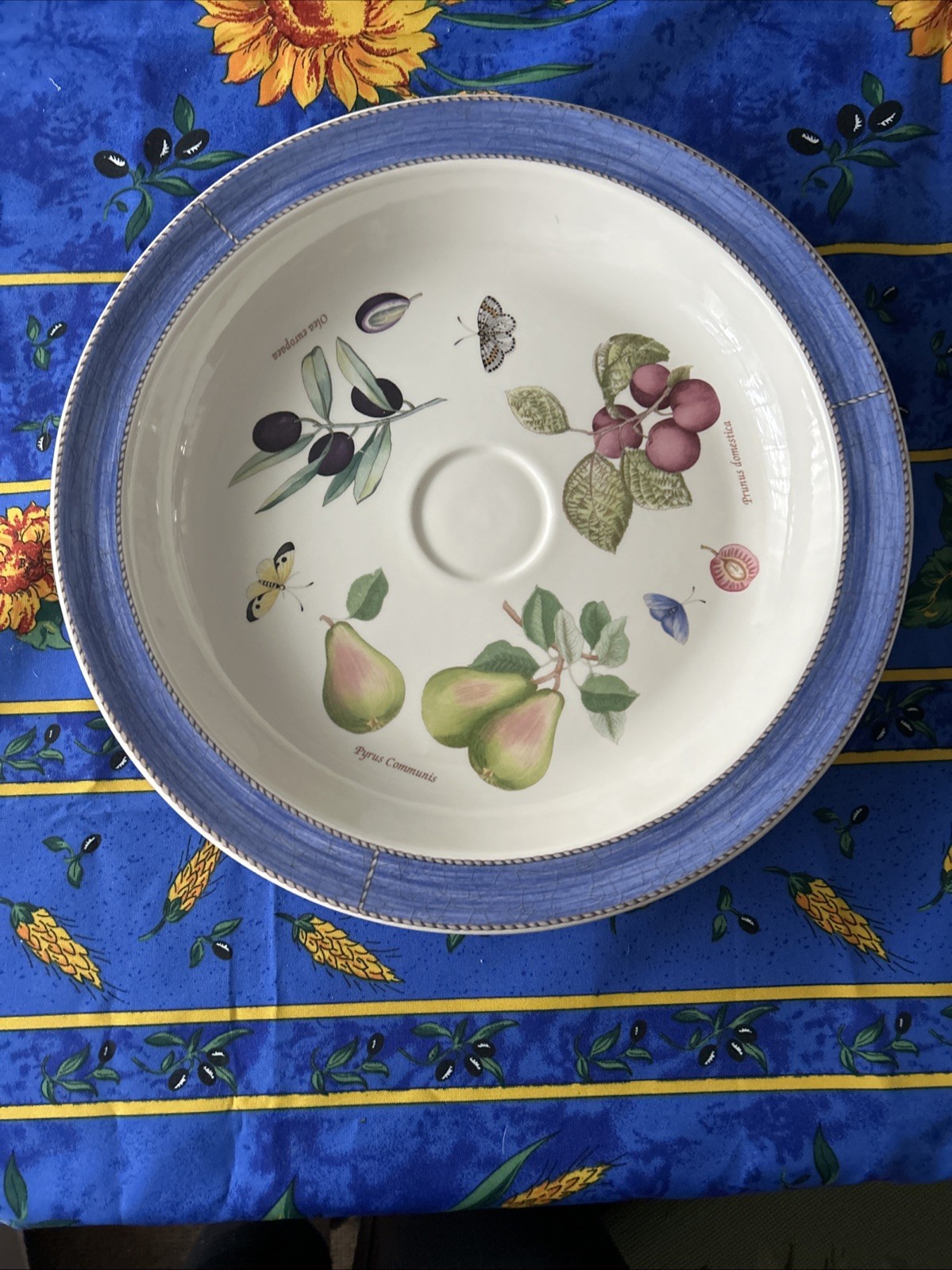Vtg Wedgwood Sarah’s Garden Serving Tray Featuring A Blue Textured Rim & Fruit.