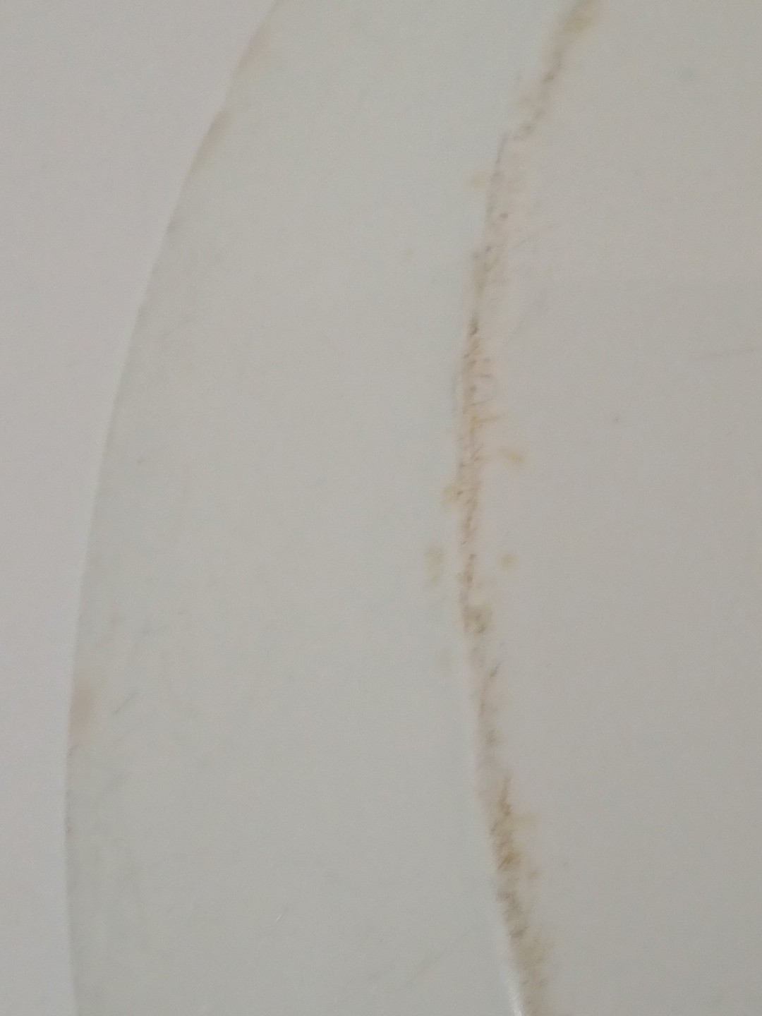 Antique Serving Plate