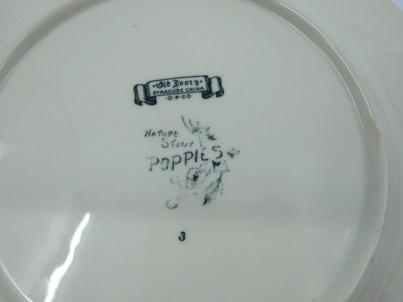 Vintage Syracuse Old Ivory Nature Study Poppies Dinner Plate #3 Black & White