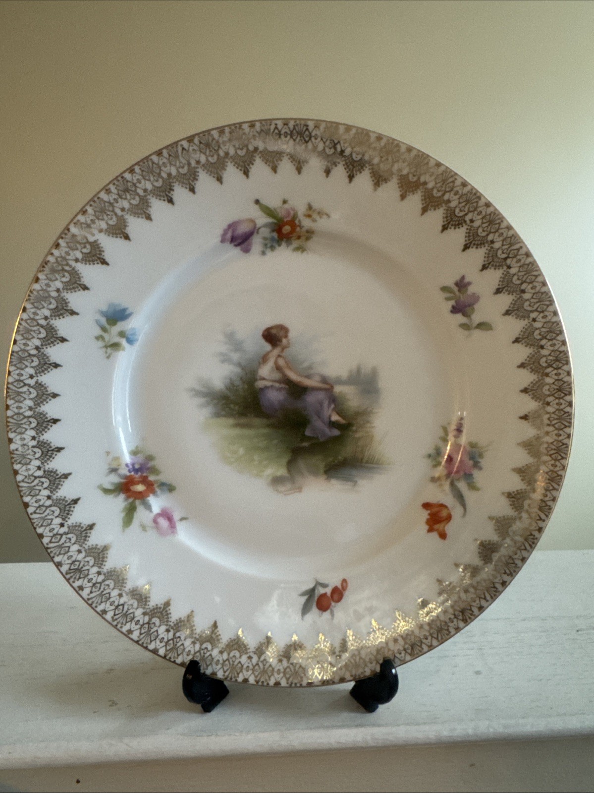 rosenthal porcelain Decorative Dinner Plates