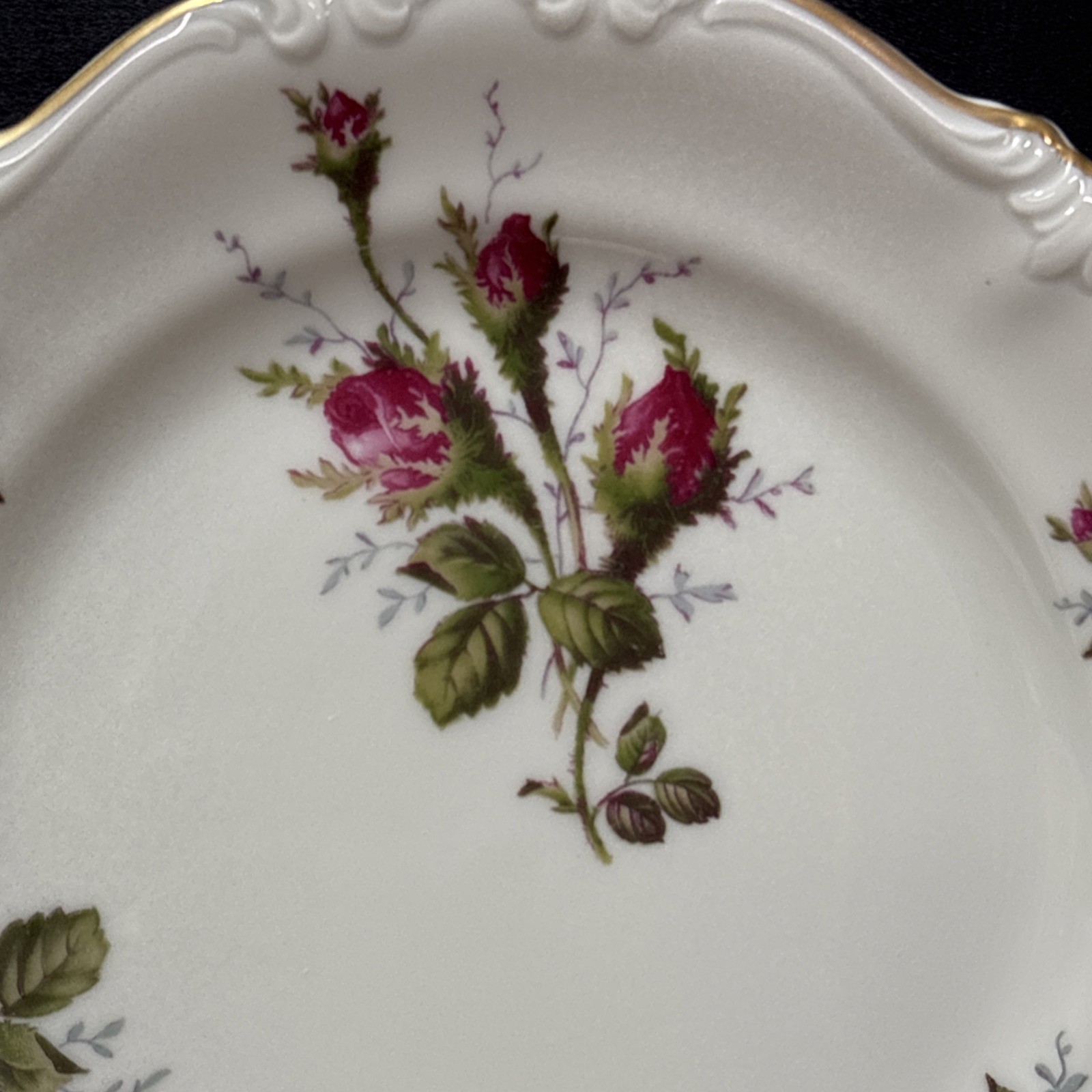 Rosenthal Continental MOSS ROSE POMPADOUR (Ivory) Bread Plate 6 1/4 Inches