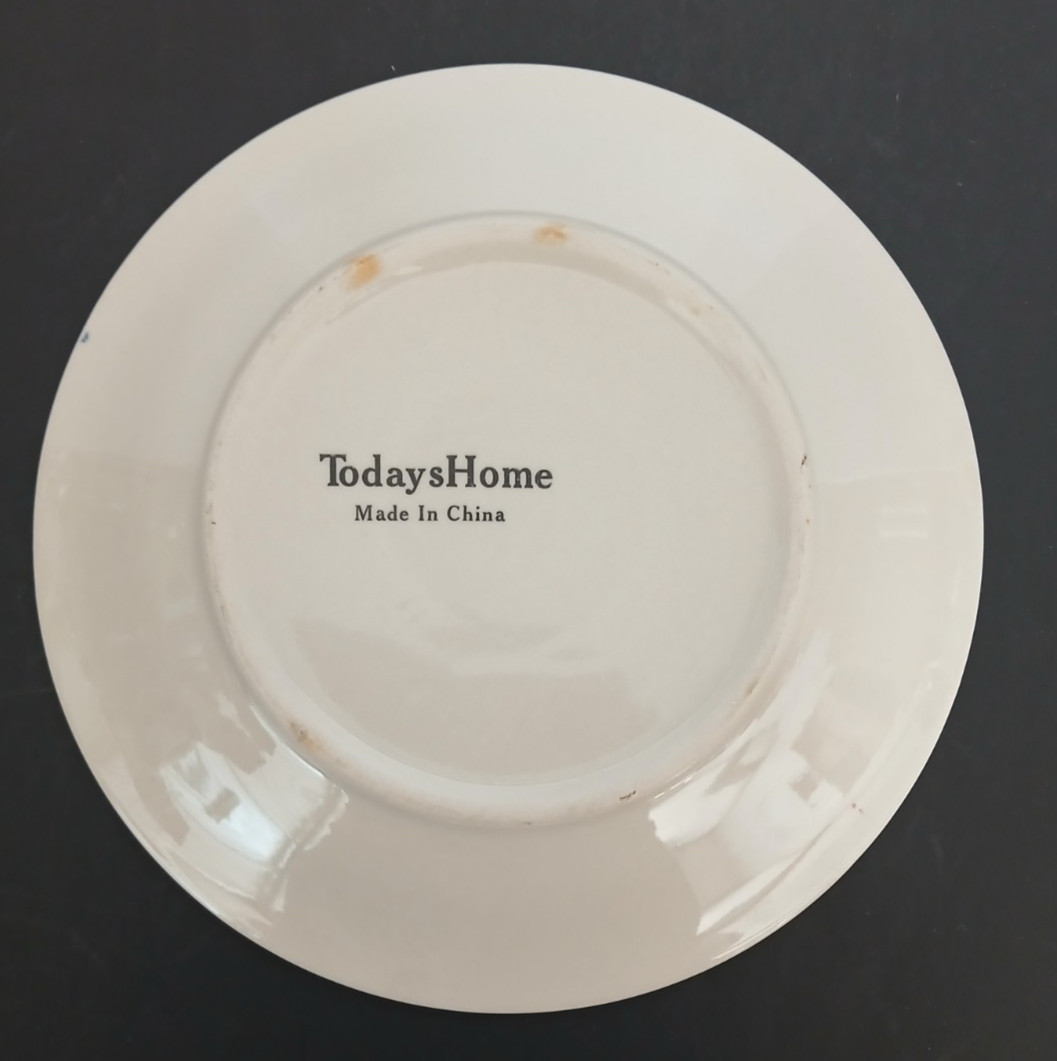Today’s Home Salad Plate 8” Multicolor Striped Red Green Blue Rings Replacement
