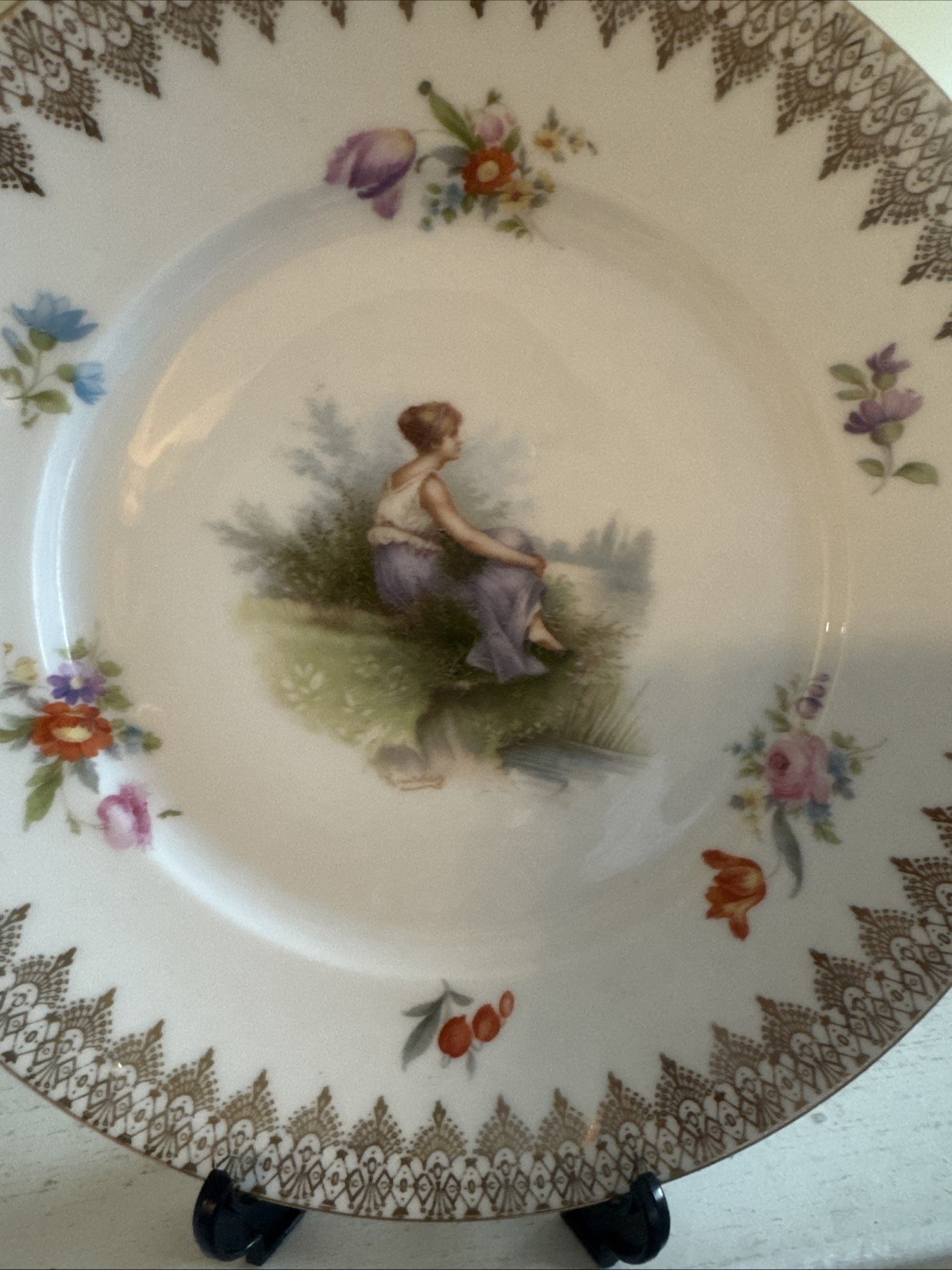rosenthal porcelain Decorative Dinner Plates