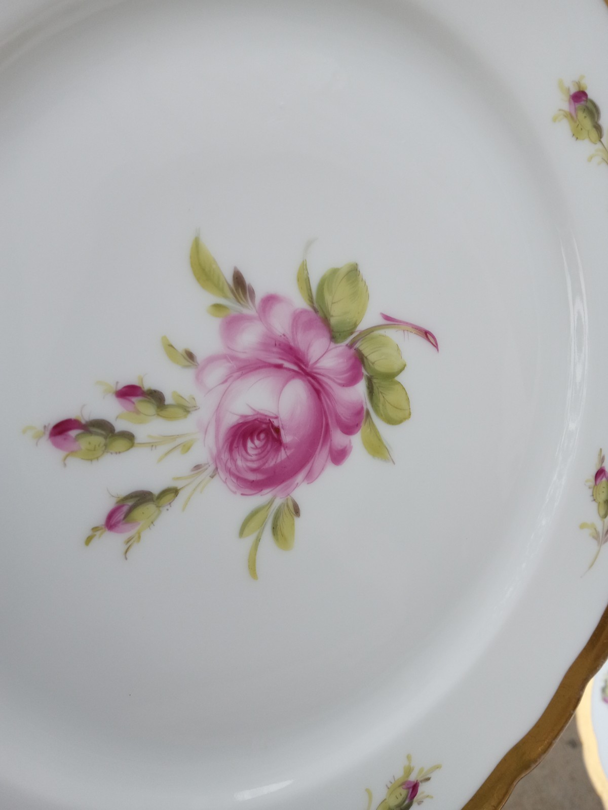 12 Antique Helena Wolfsohn DRESDEN ROSE Porcelain Dinner Plate OVINGTON BROS NY