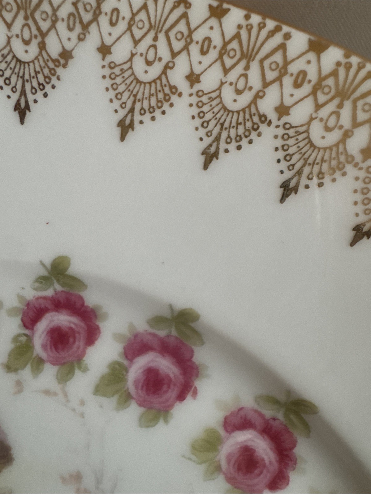 rosenthal porcelain Decorative Dinner Plates