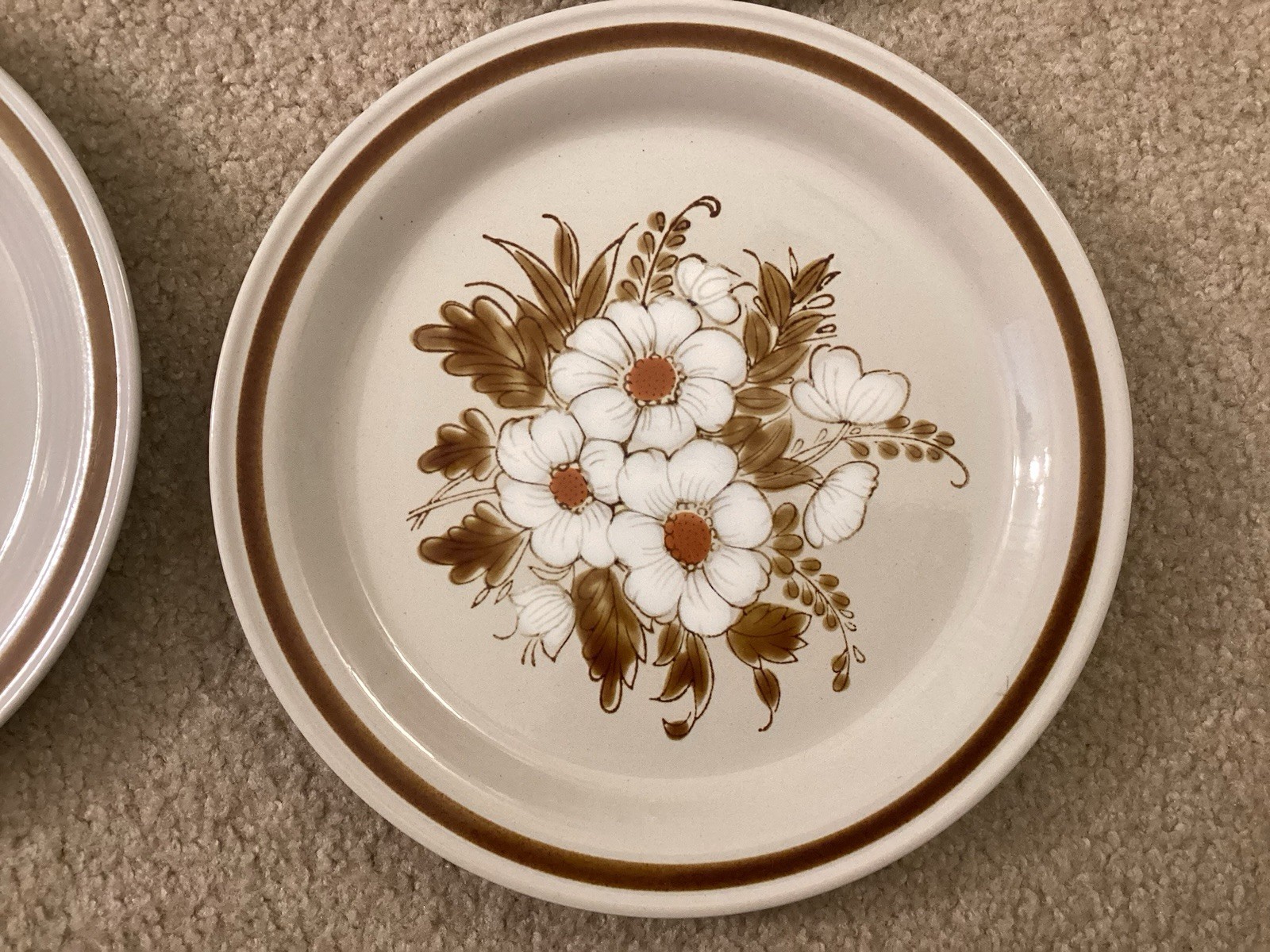 VTG Mountain Wood Collection “Dried Flowers” Stoneware Dinner Plate Set Of 4