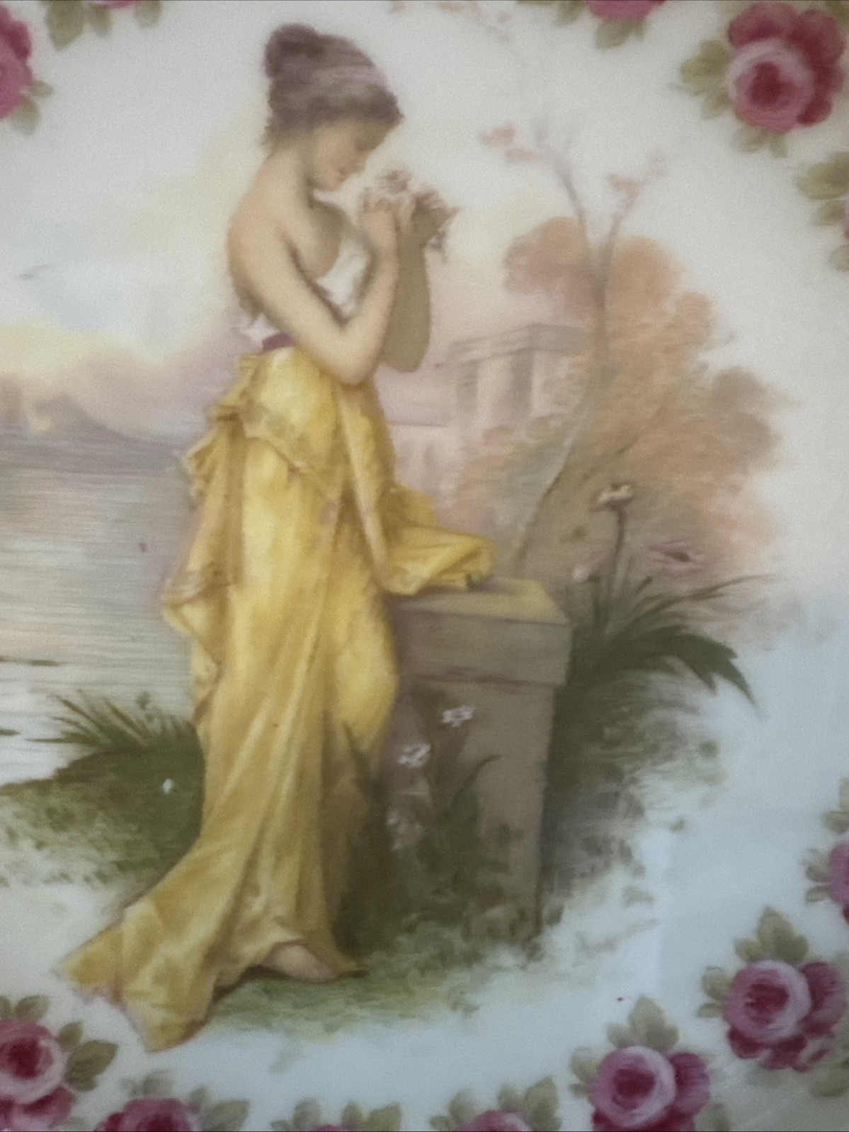 rosenthal porcelain Decorative Dinner Plates