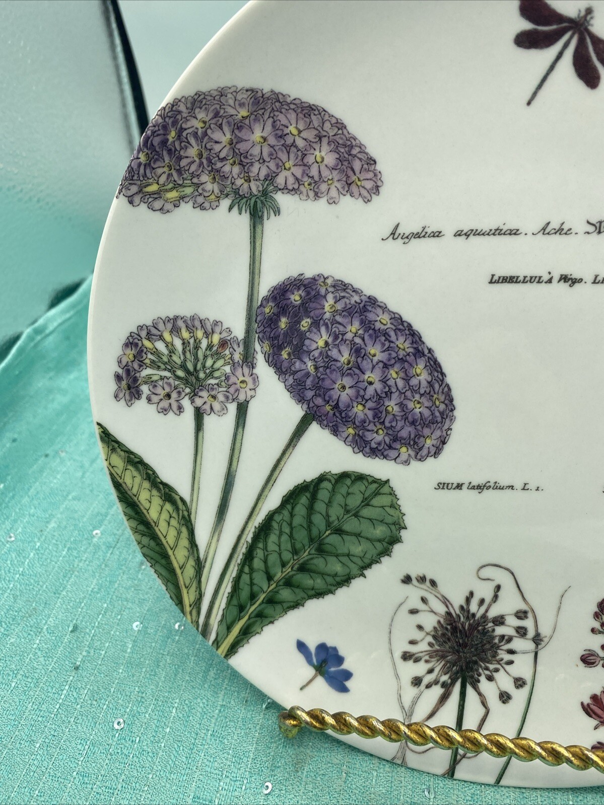 Rosanna 8” Botanical Garden Luncheon Plates~Antique Print 19th Century