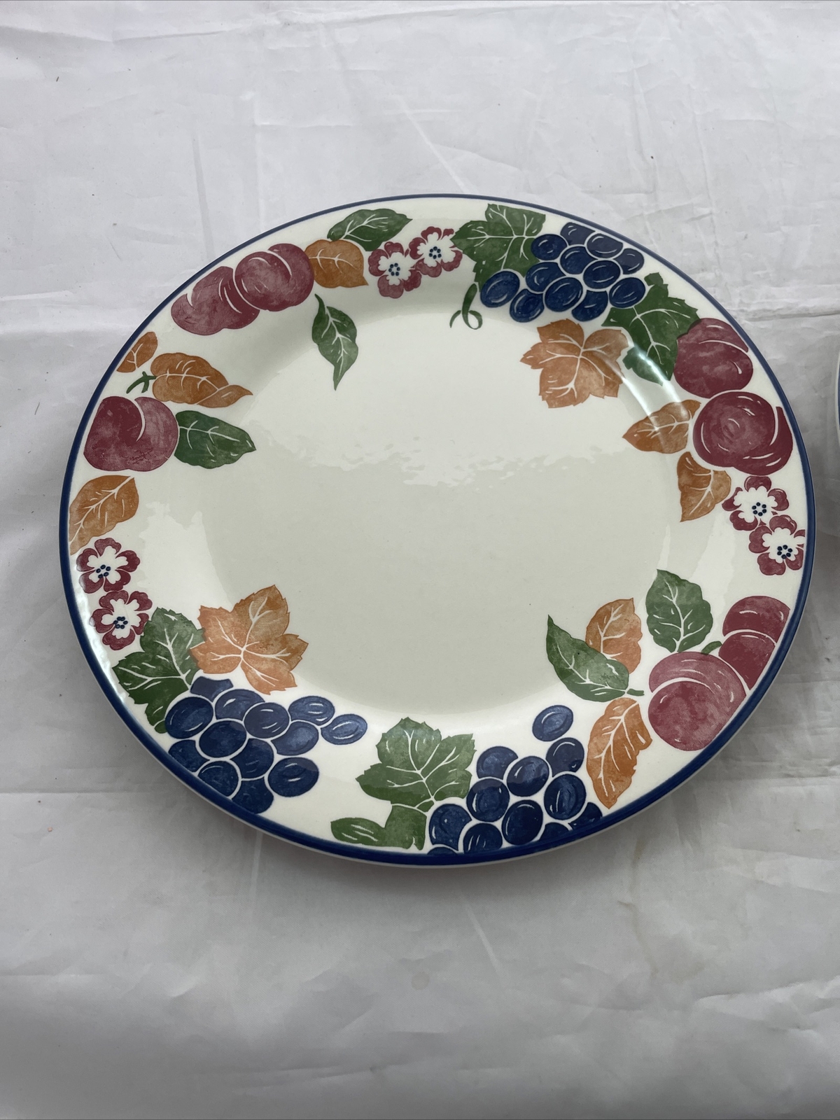 STAFFORDSHIRE TABLEWARE CHIANTI DINNER PLATE SET OF 2 – ENGLAND 8 1/2″